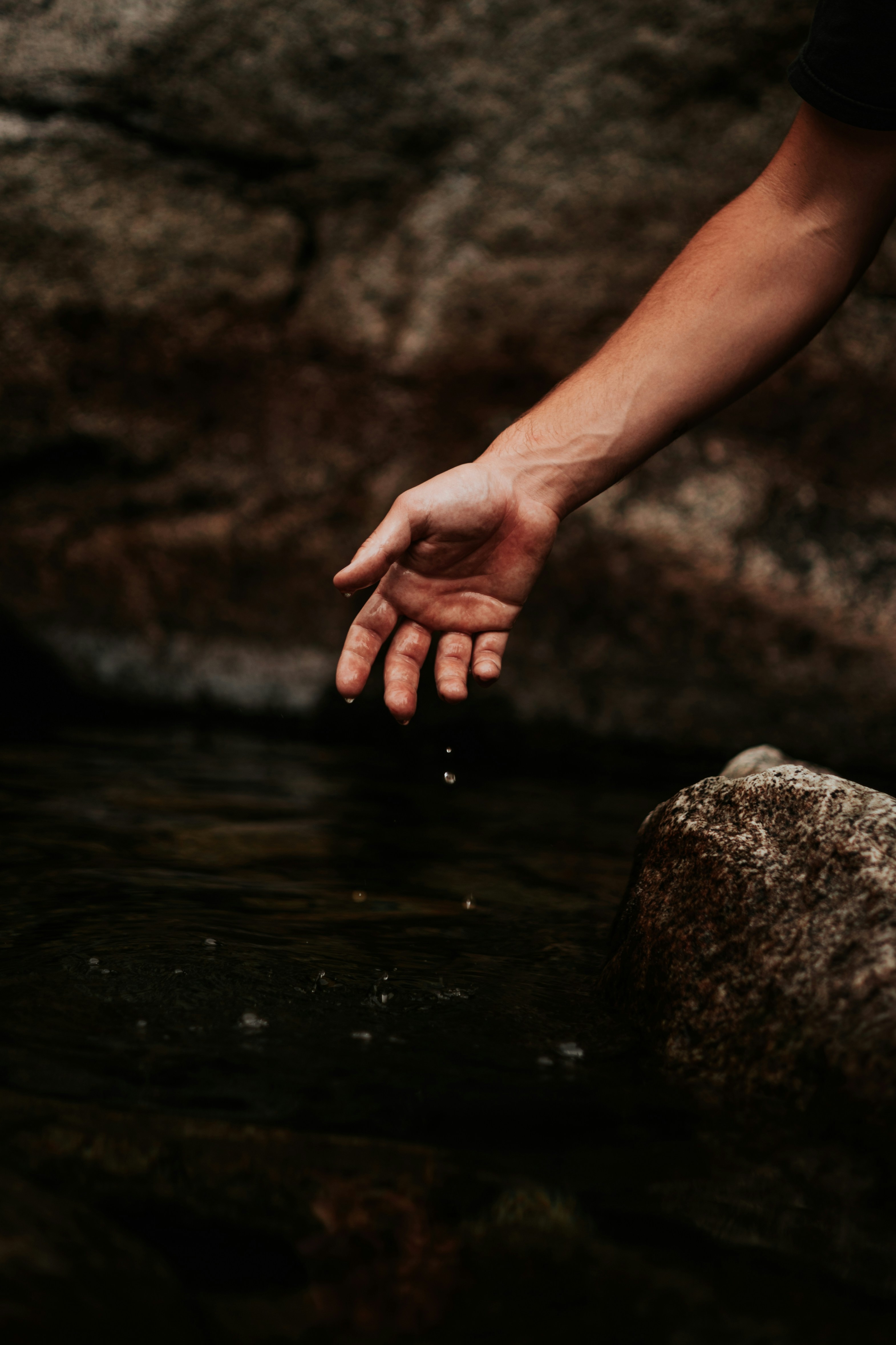 Photo by jeffersonsees