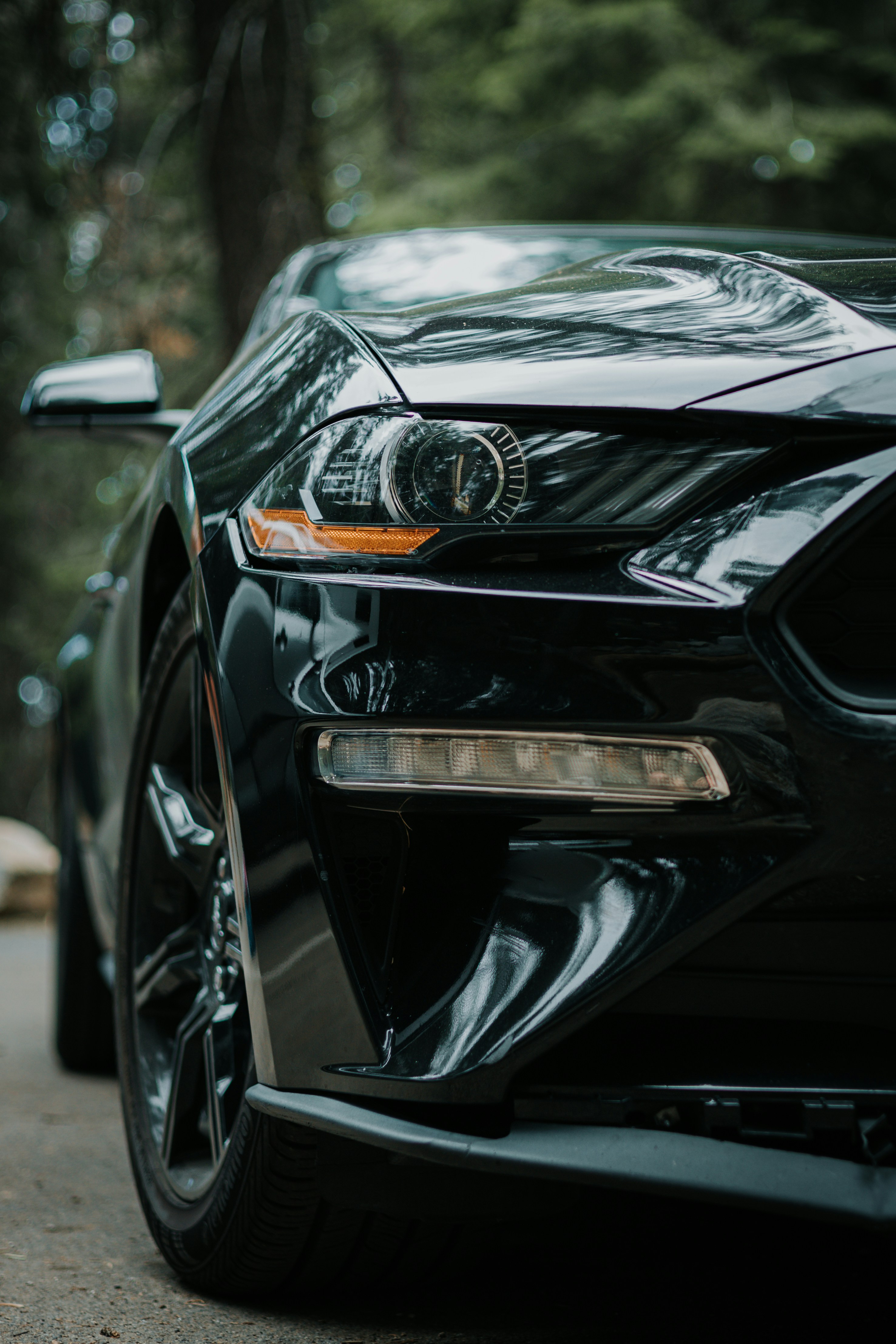 Photo by jeffersonsees