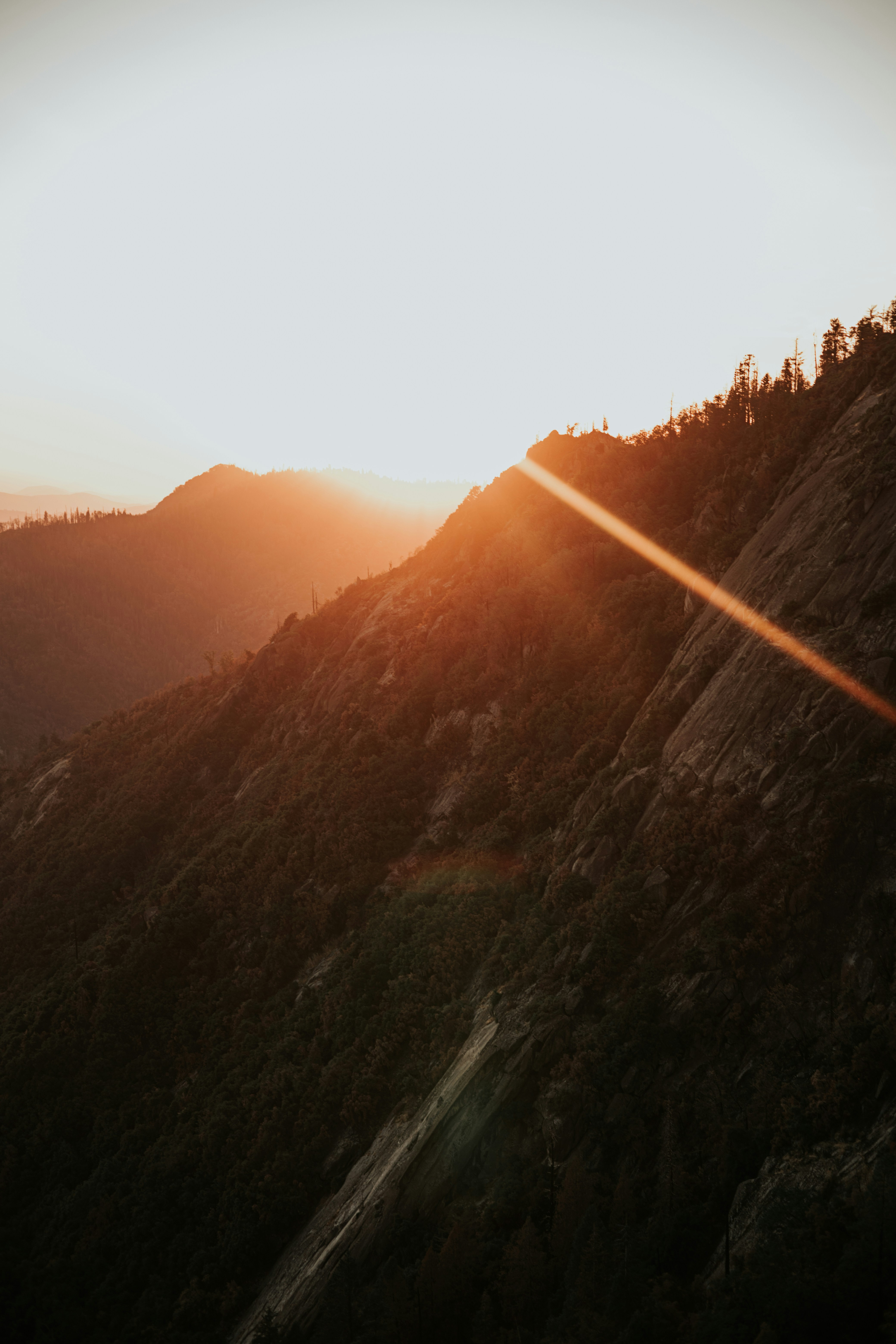 Photo by jeffersonsees