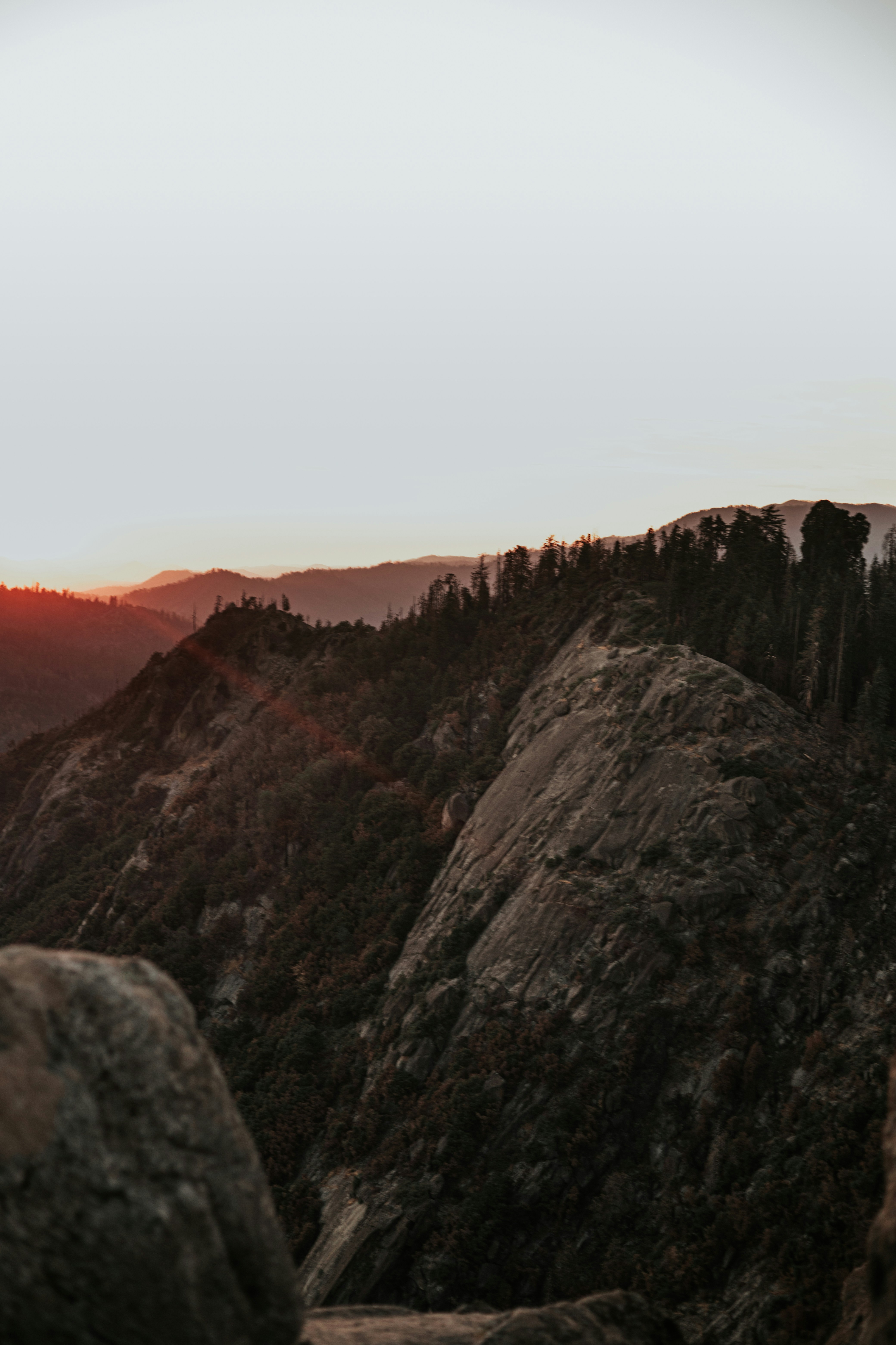 Photo by jeffersonsees