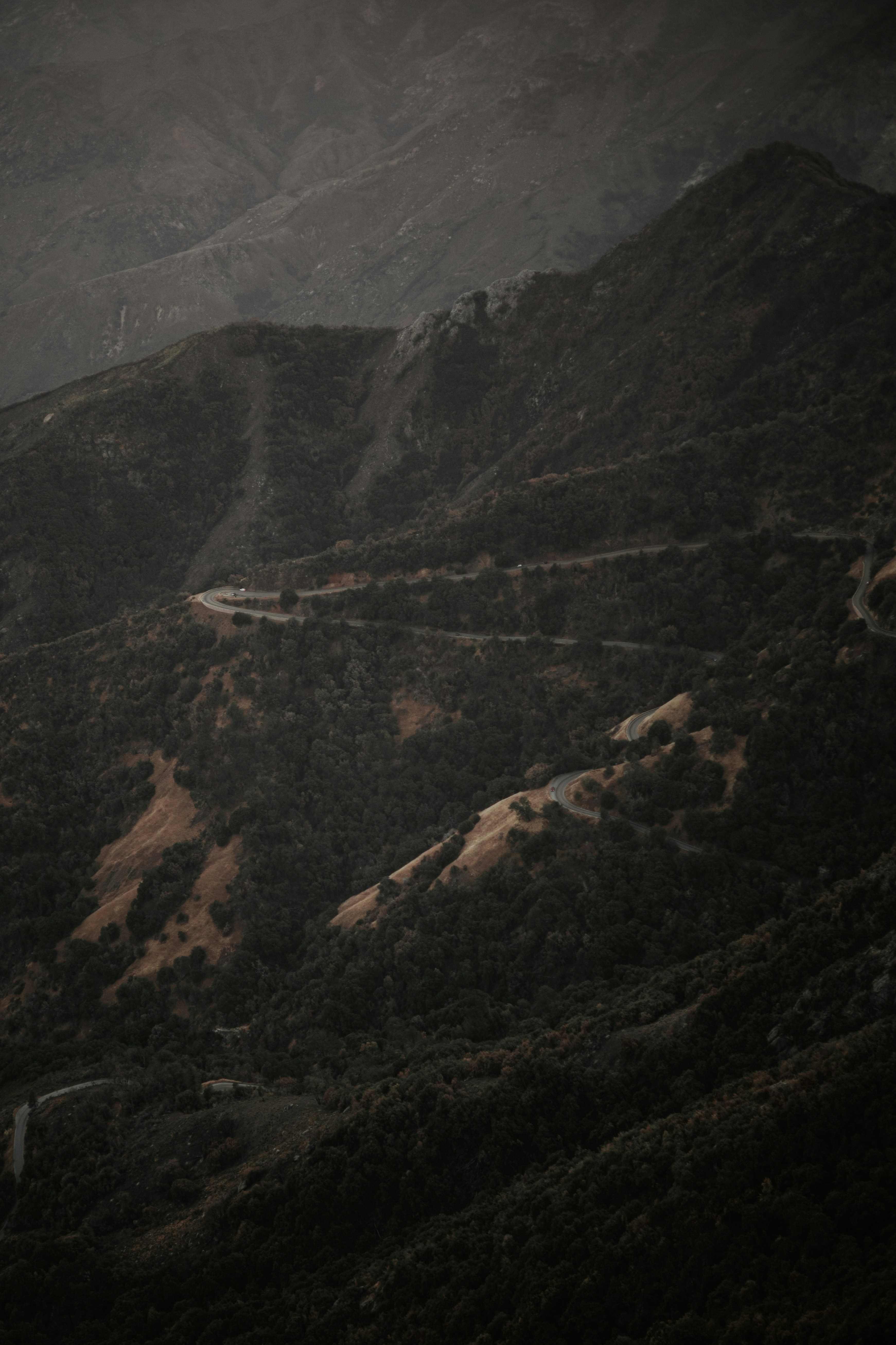 Photo by jeffersonsees