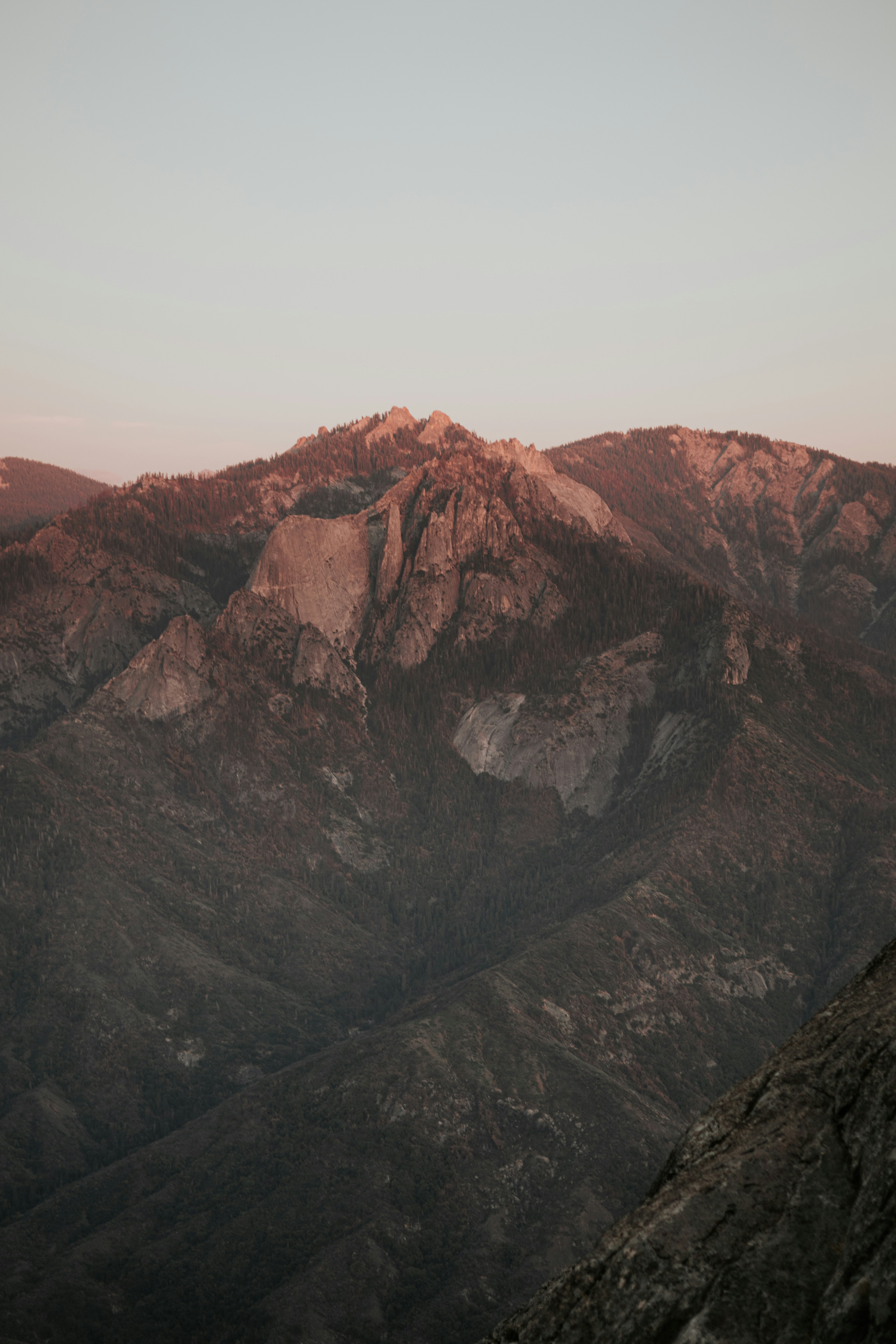 Photo by jeffersonsees