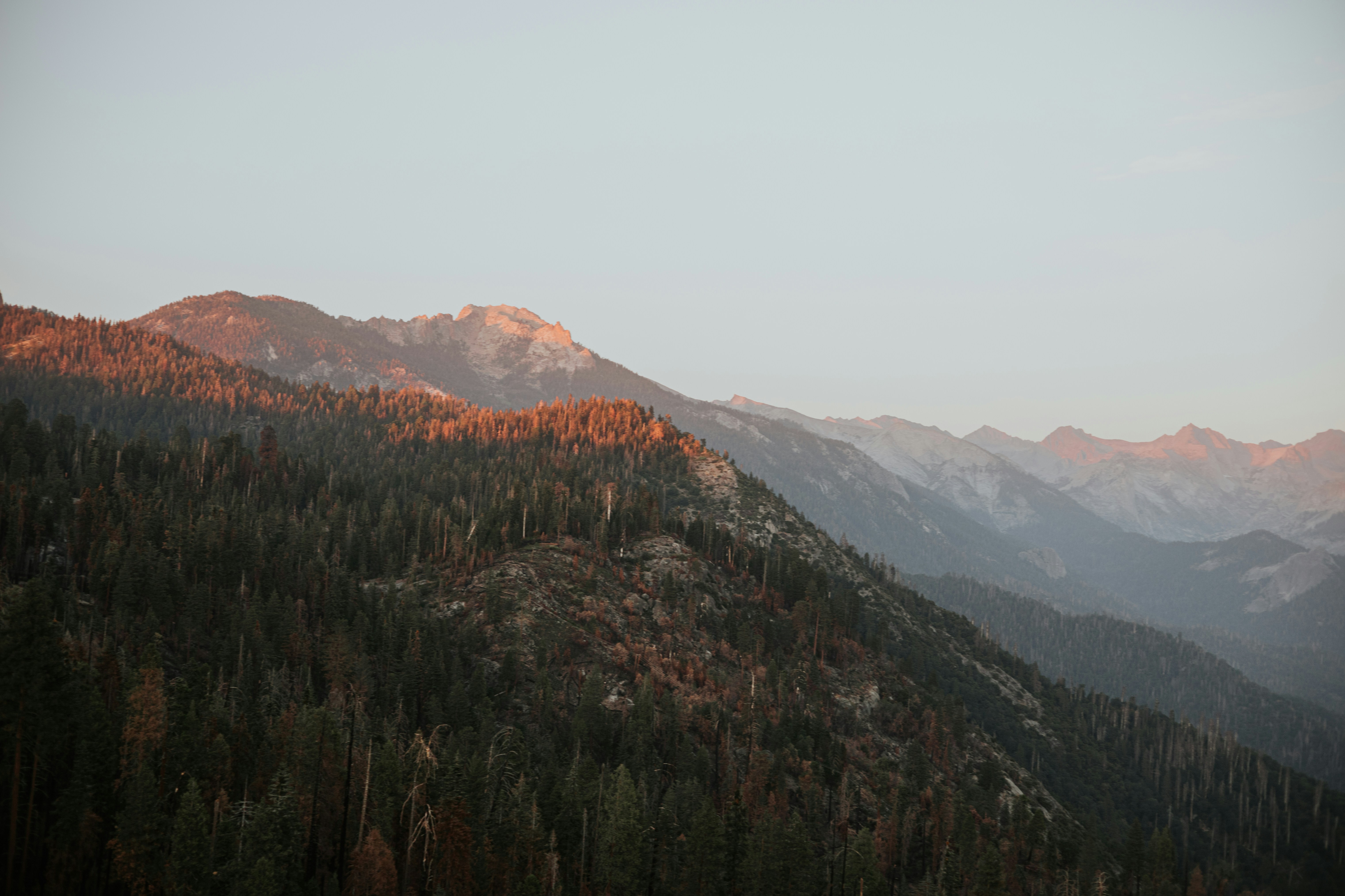 Photo by jeffersonsees