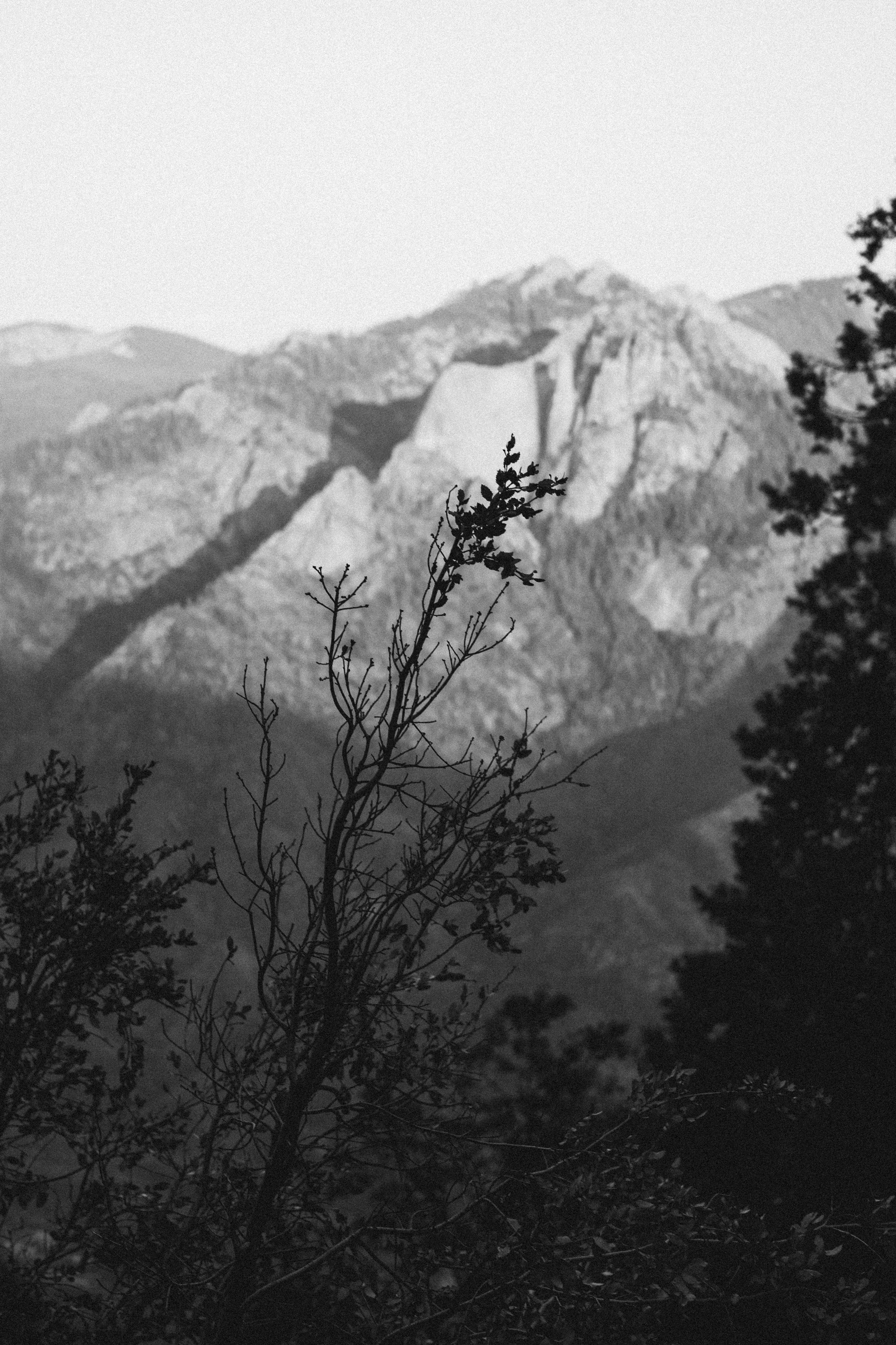 Photo by jeffersonsees