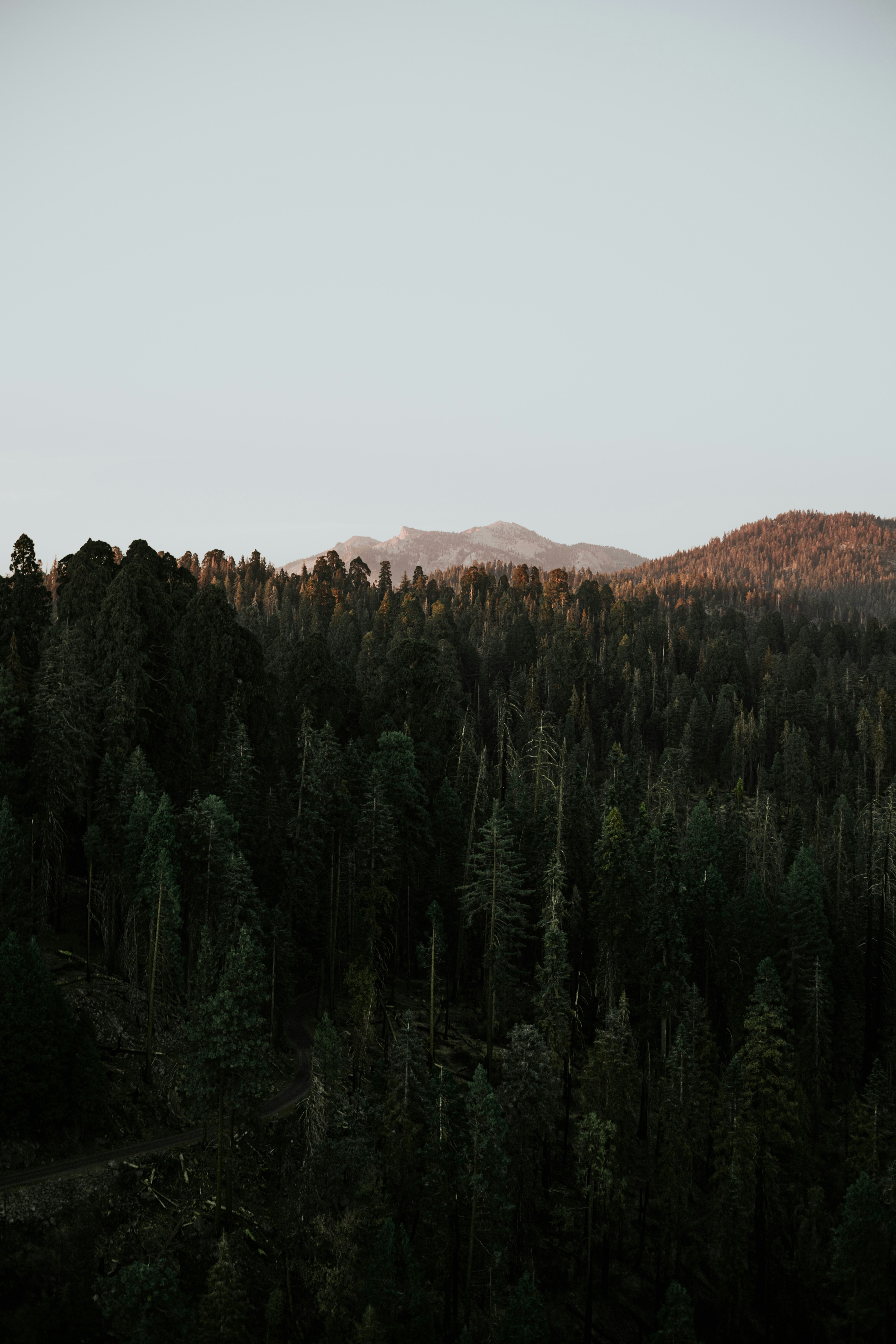 Photo by jeffersonsees