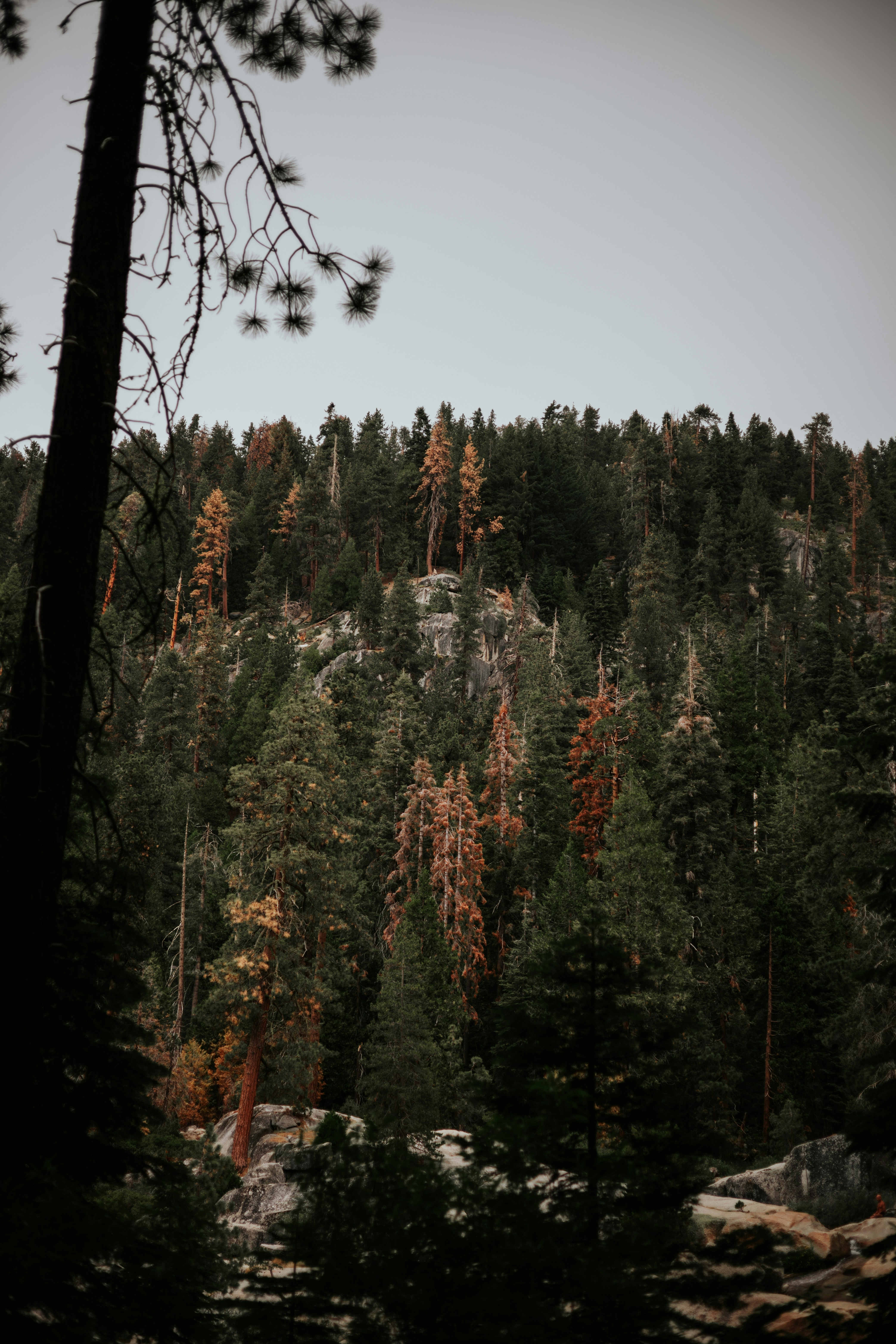 Photo by jeffersonsees