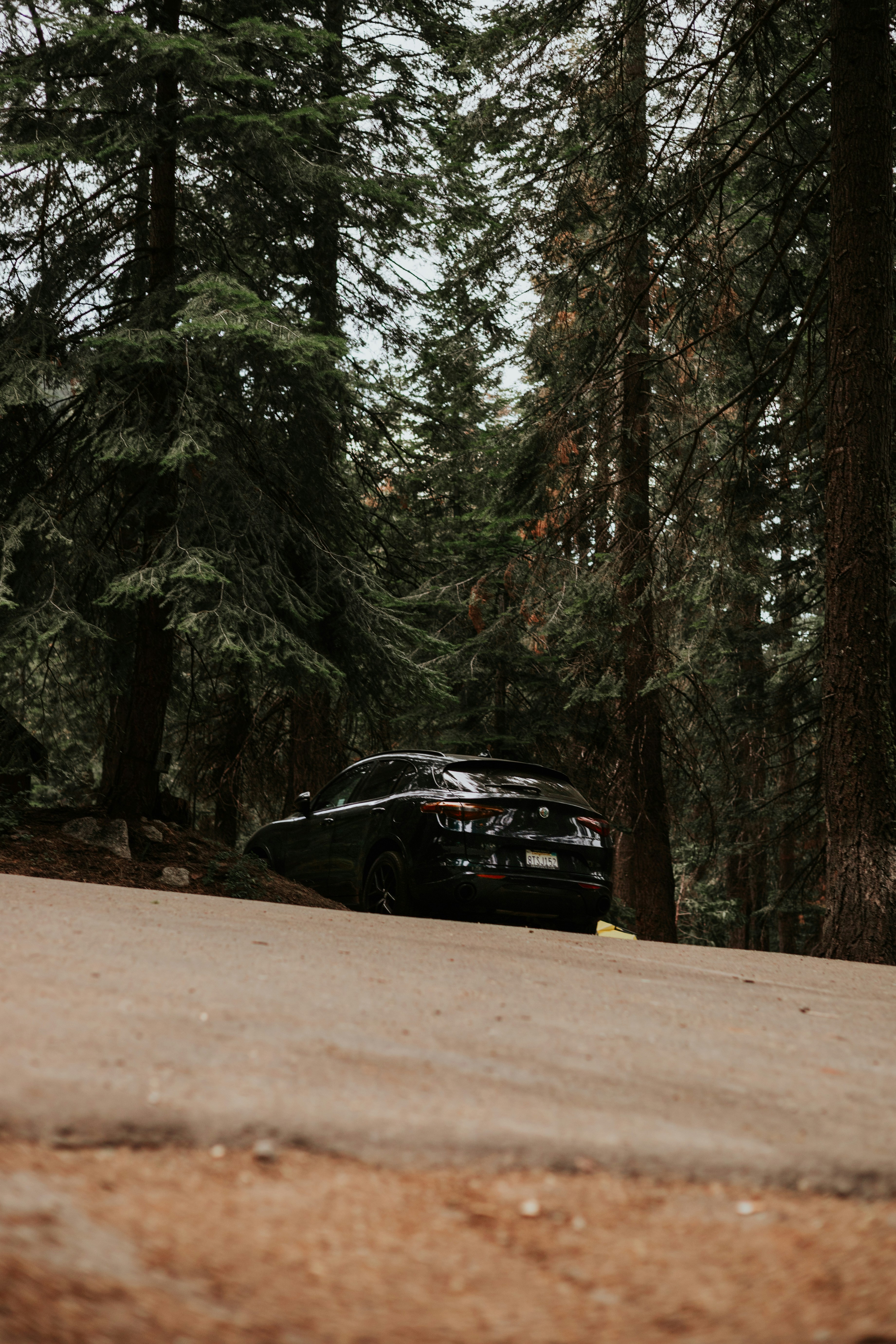 Photo by jeffersonsees