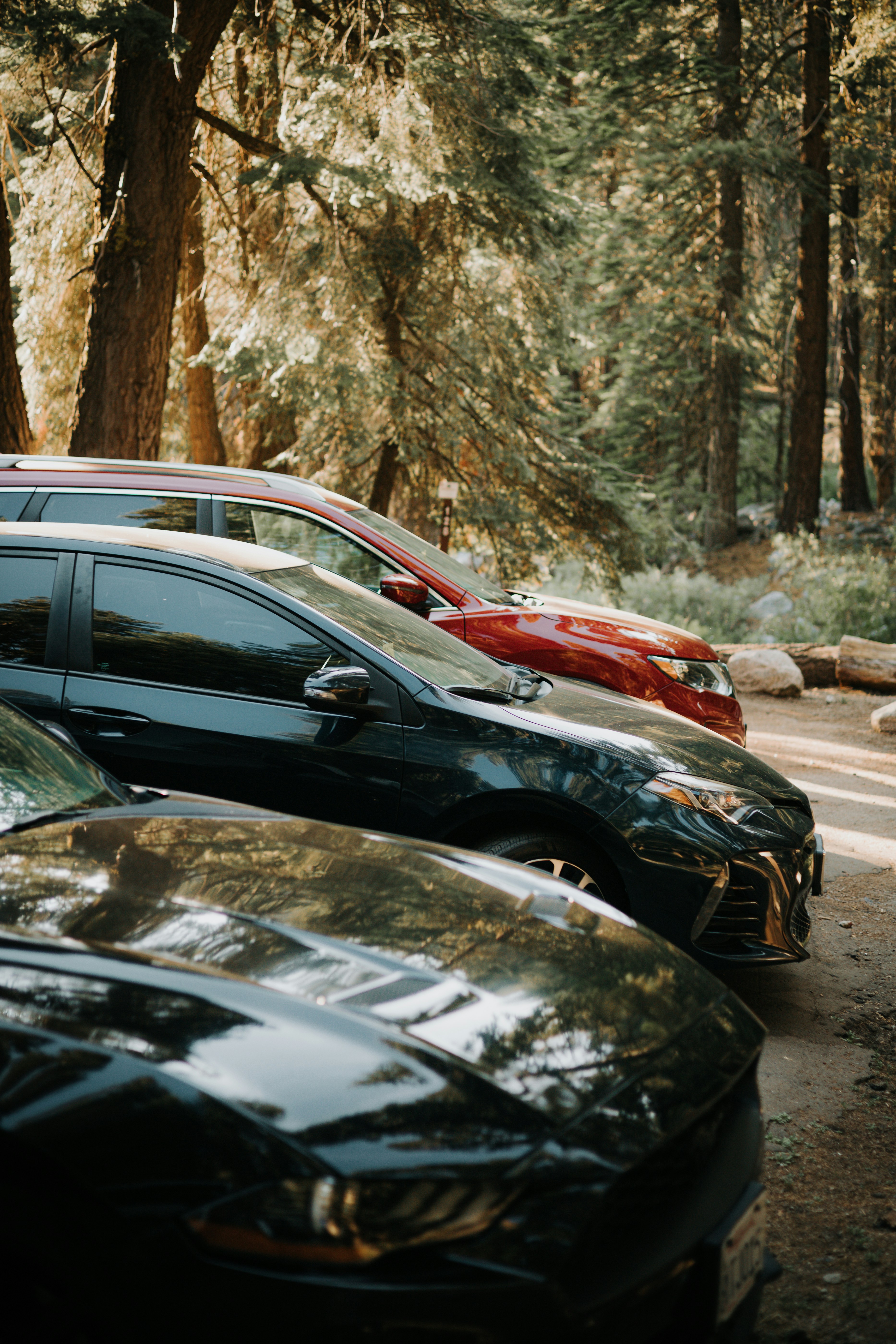 Photo by jeffersonsees