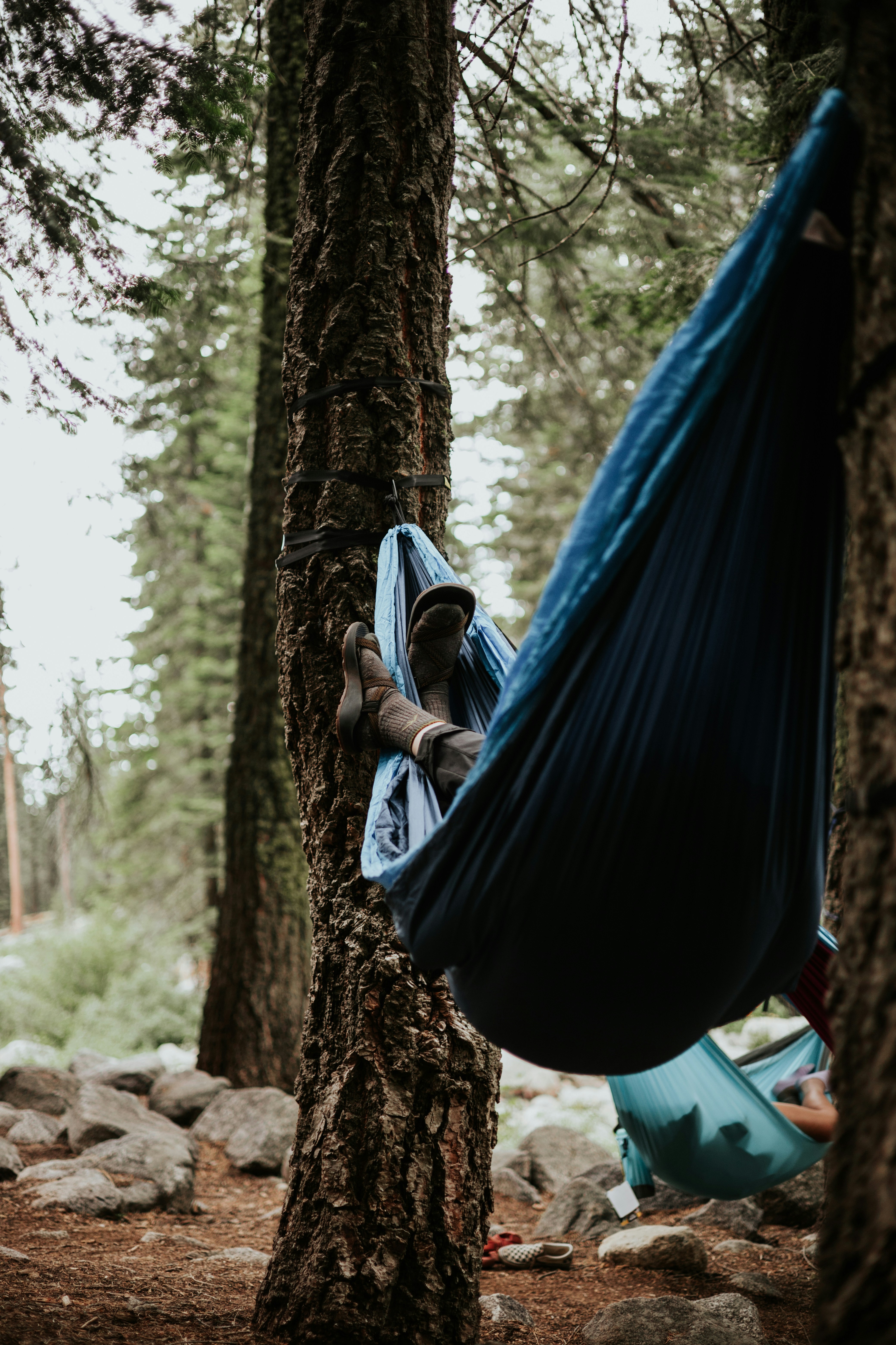 Photo by jeffersonsees