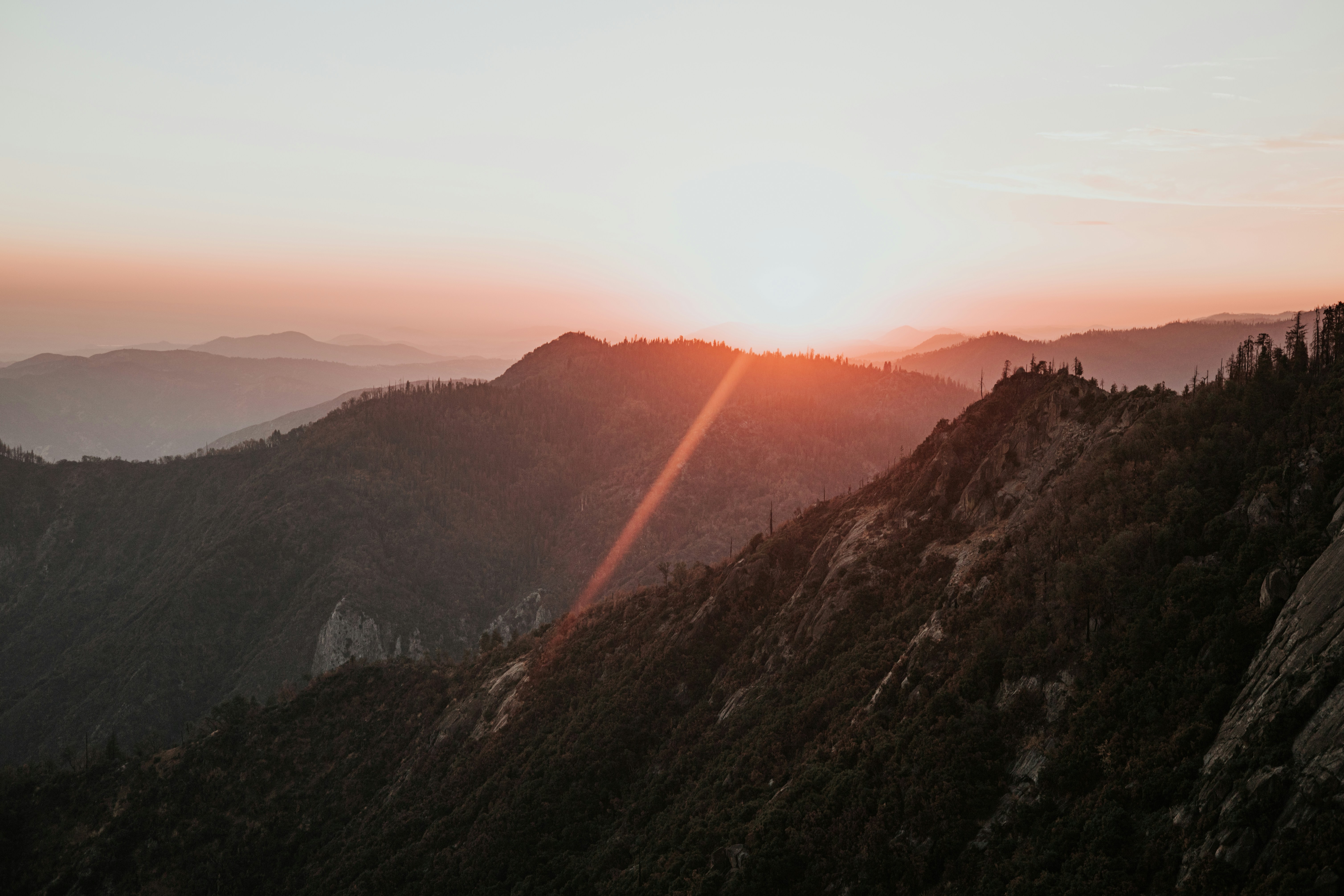 Photo by jeffersonsees