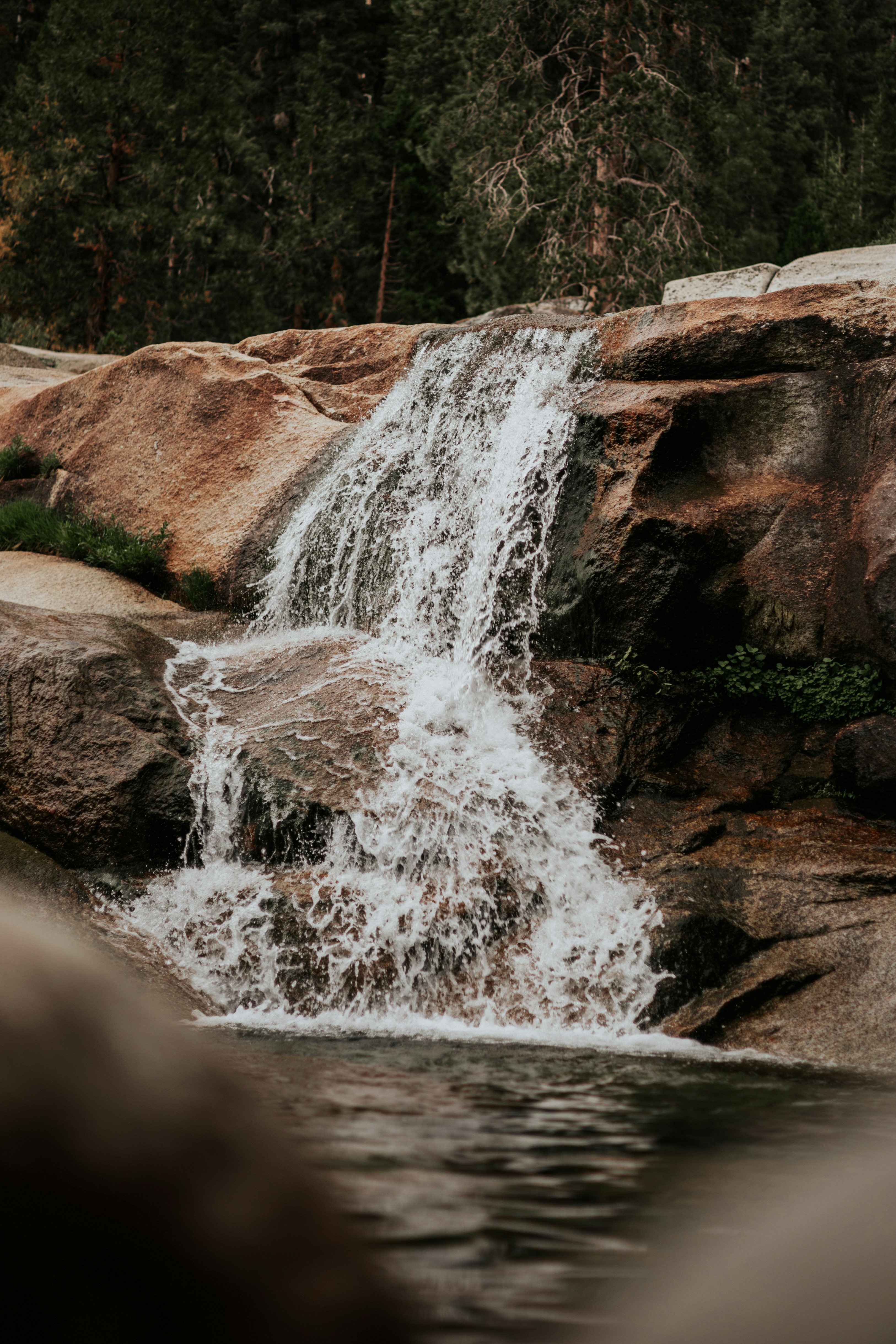 Photo by jeffersonsees