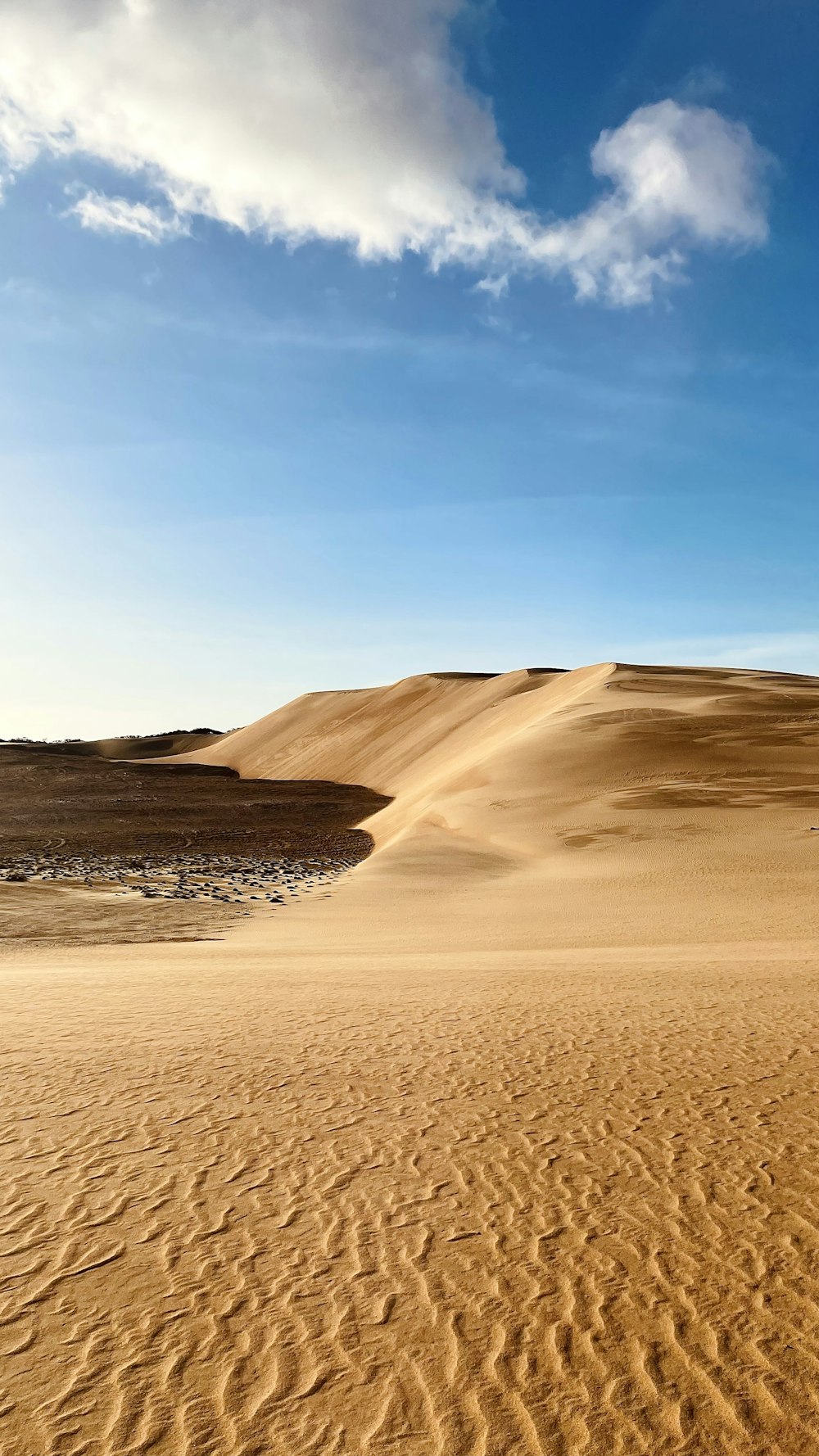 a sandy desert landscape