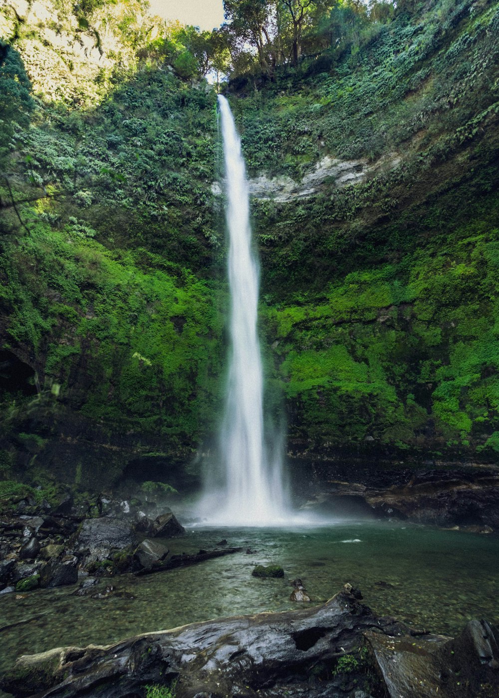 a waterfall in a forest