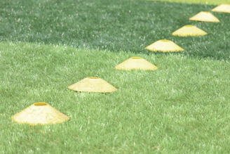 a group of yellow objects on a green surface