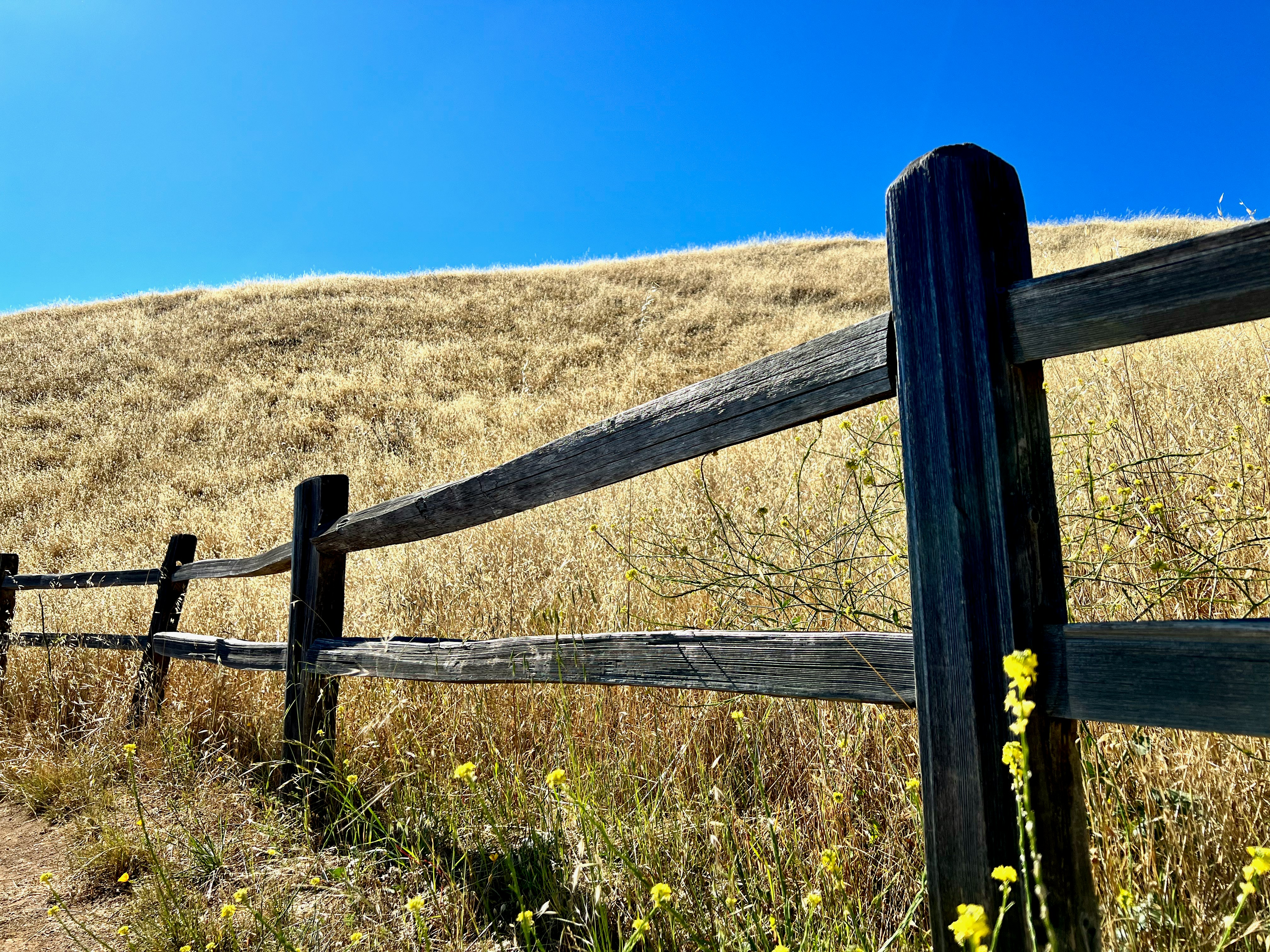 Photo by charlie_wollborg