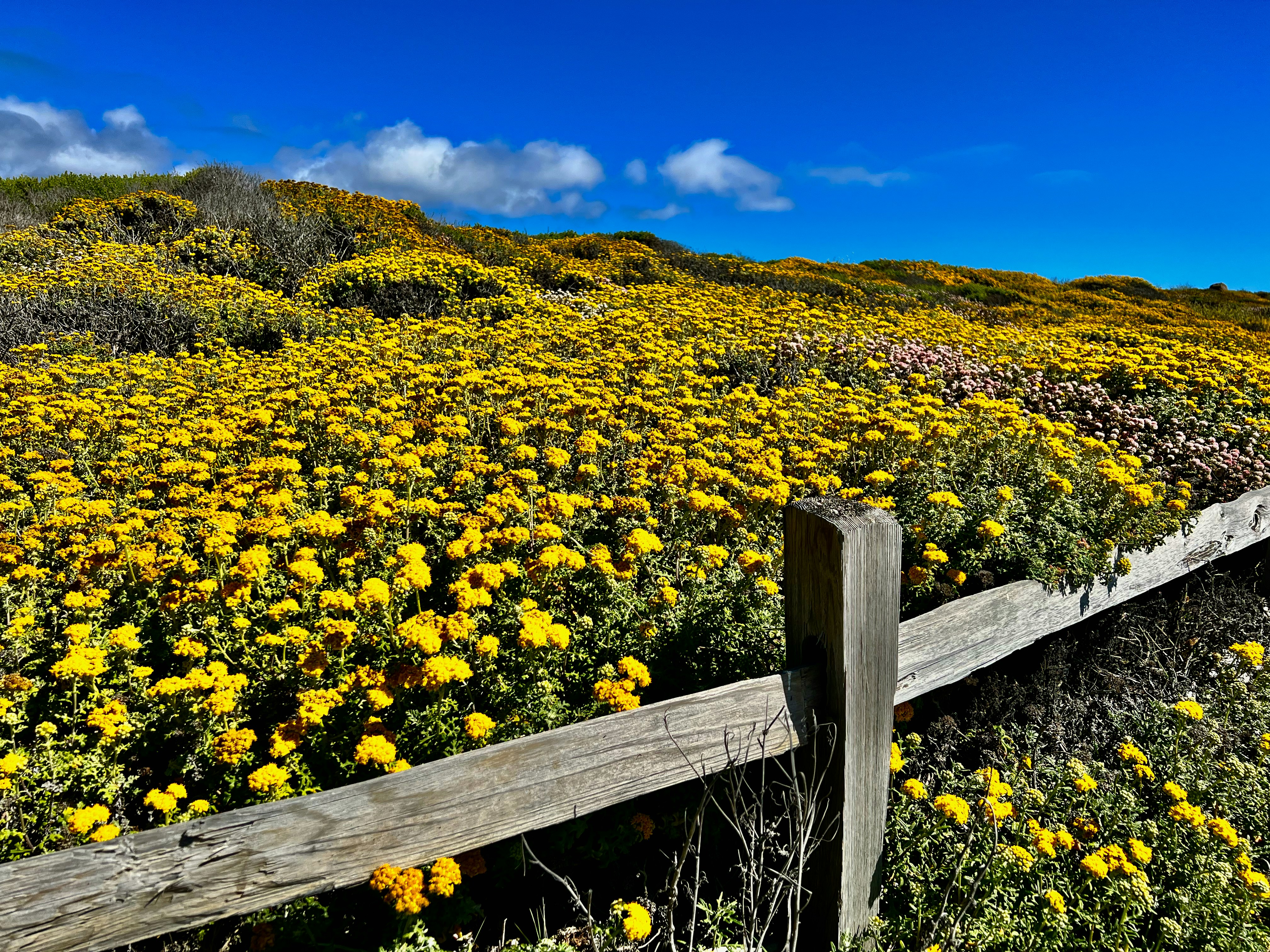 Photo by charlie_wollborg