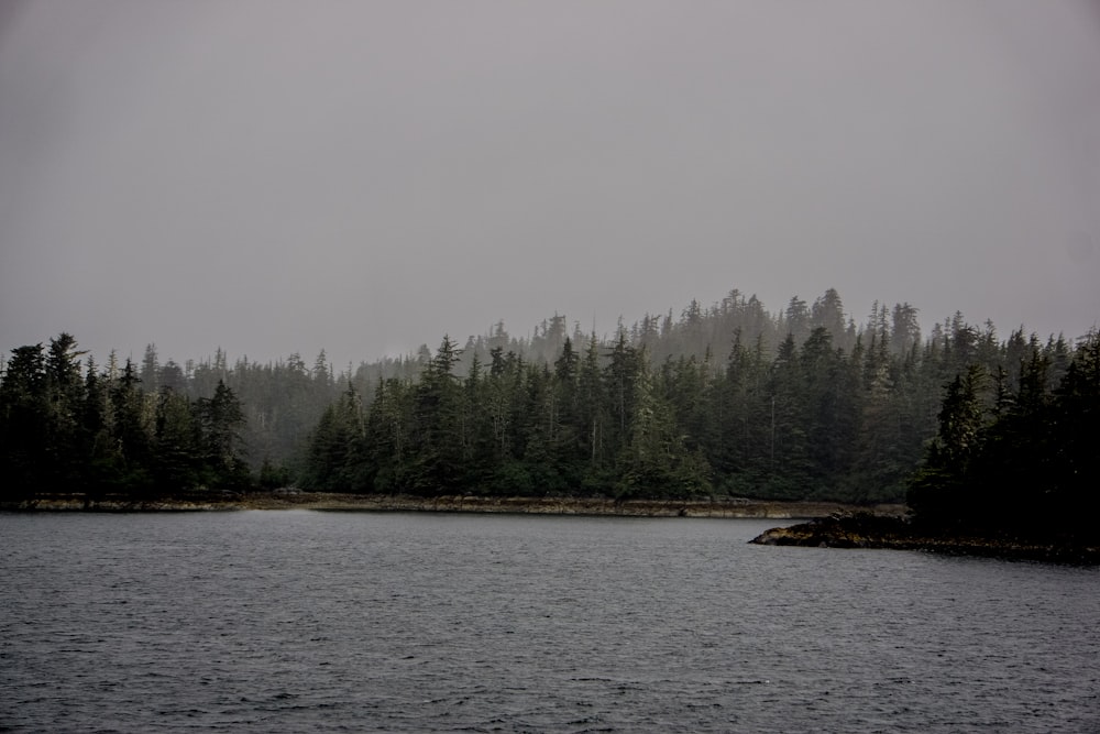 a lake with trees and snow