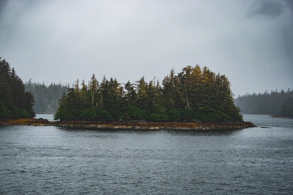 a body of water with trees on the side