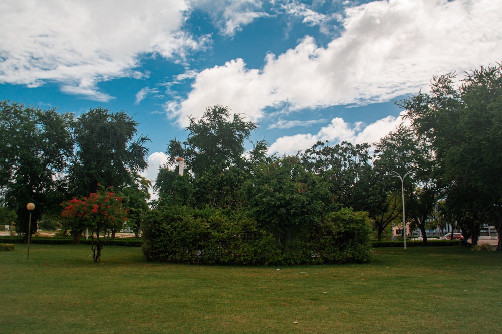 a grassy area with trees and a building in the background