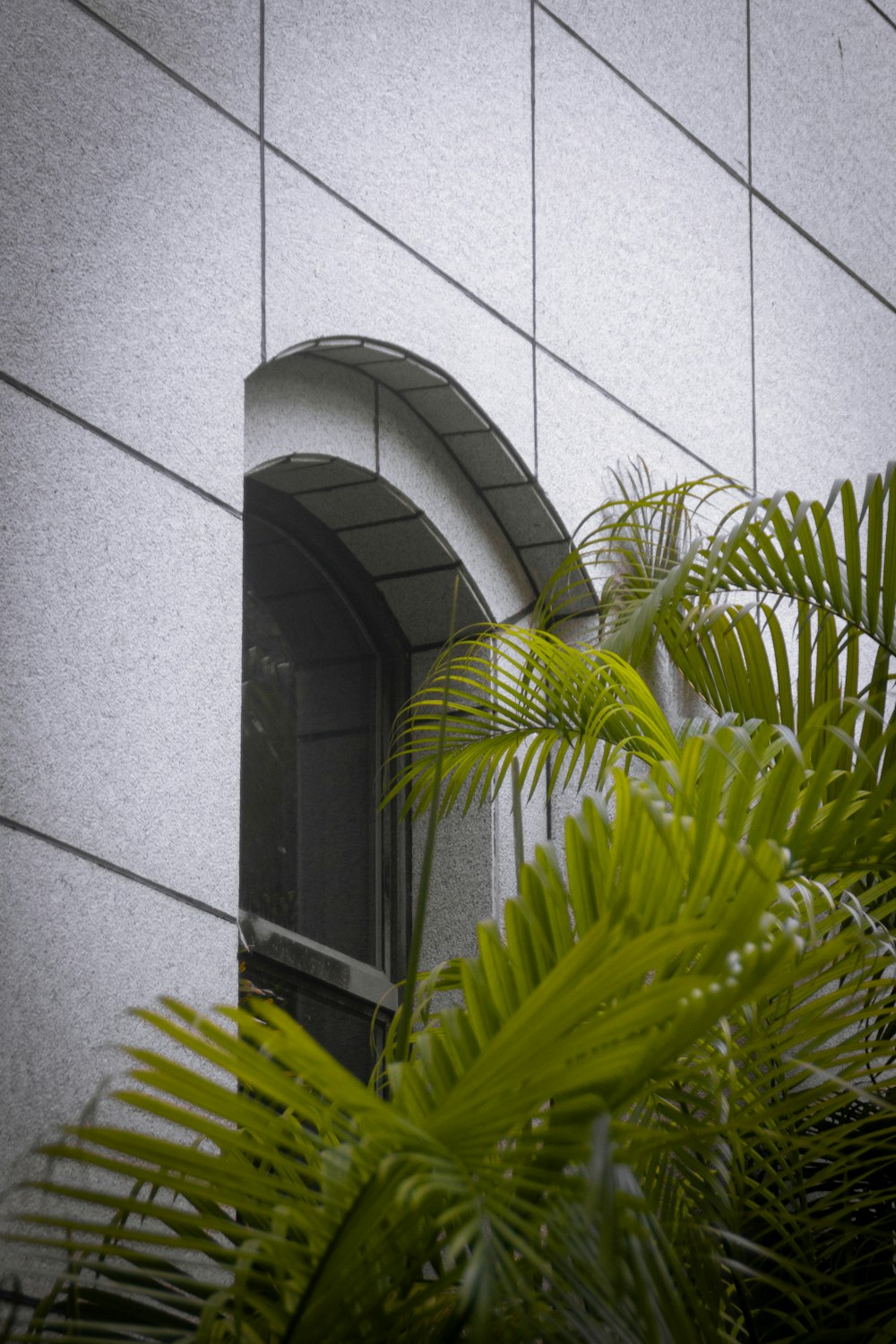 a plant next to a building