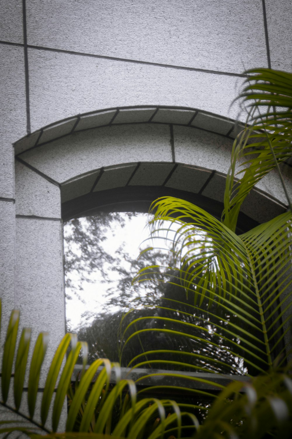 a building with a large arched window