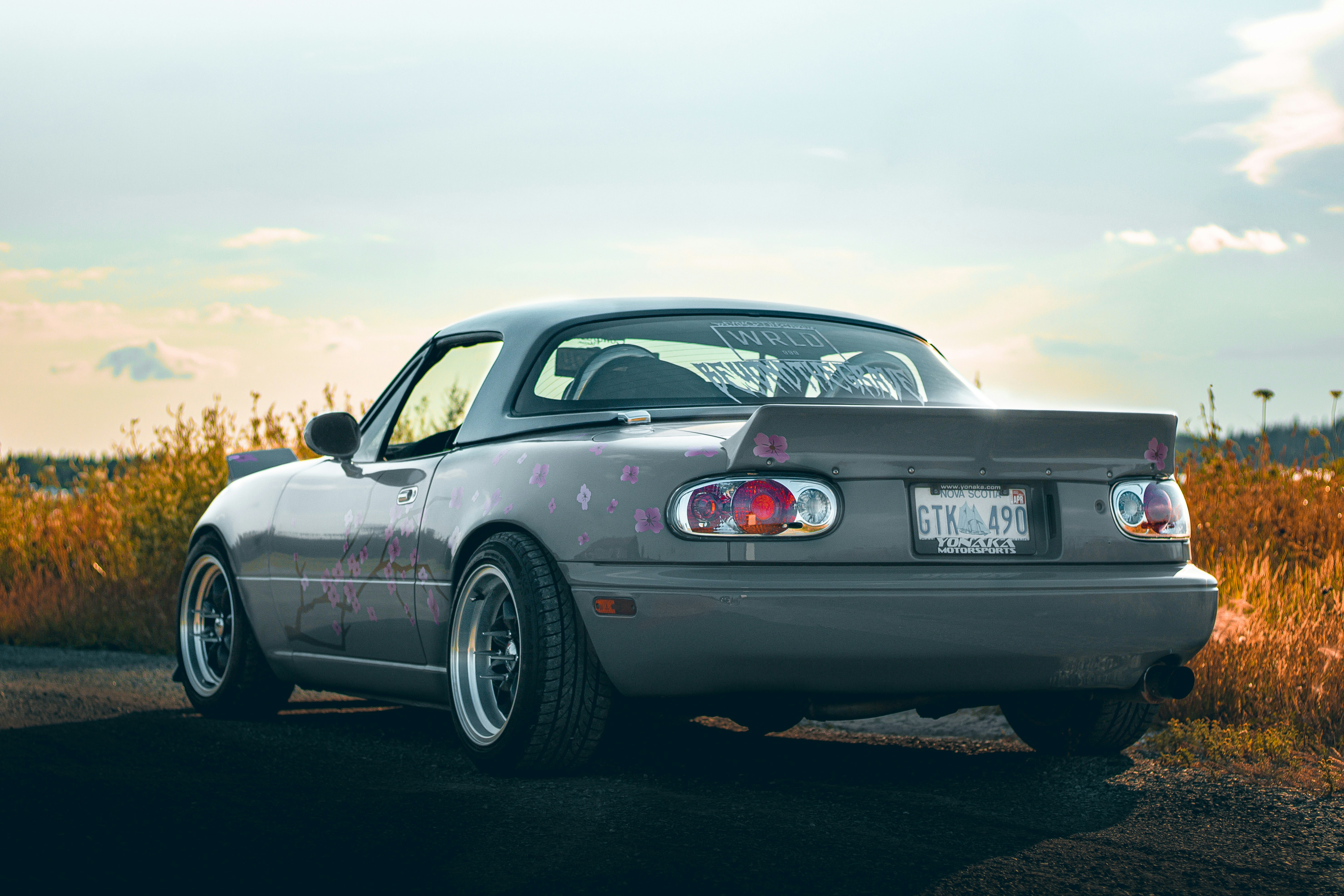 Photo by stevenrector