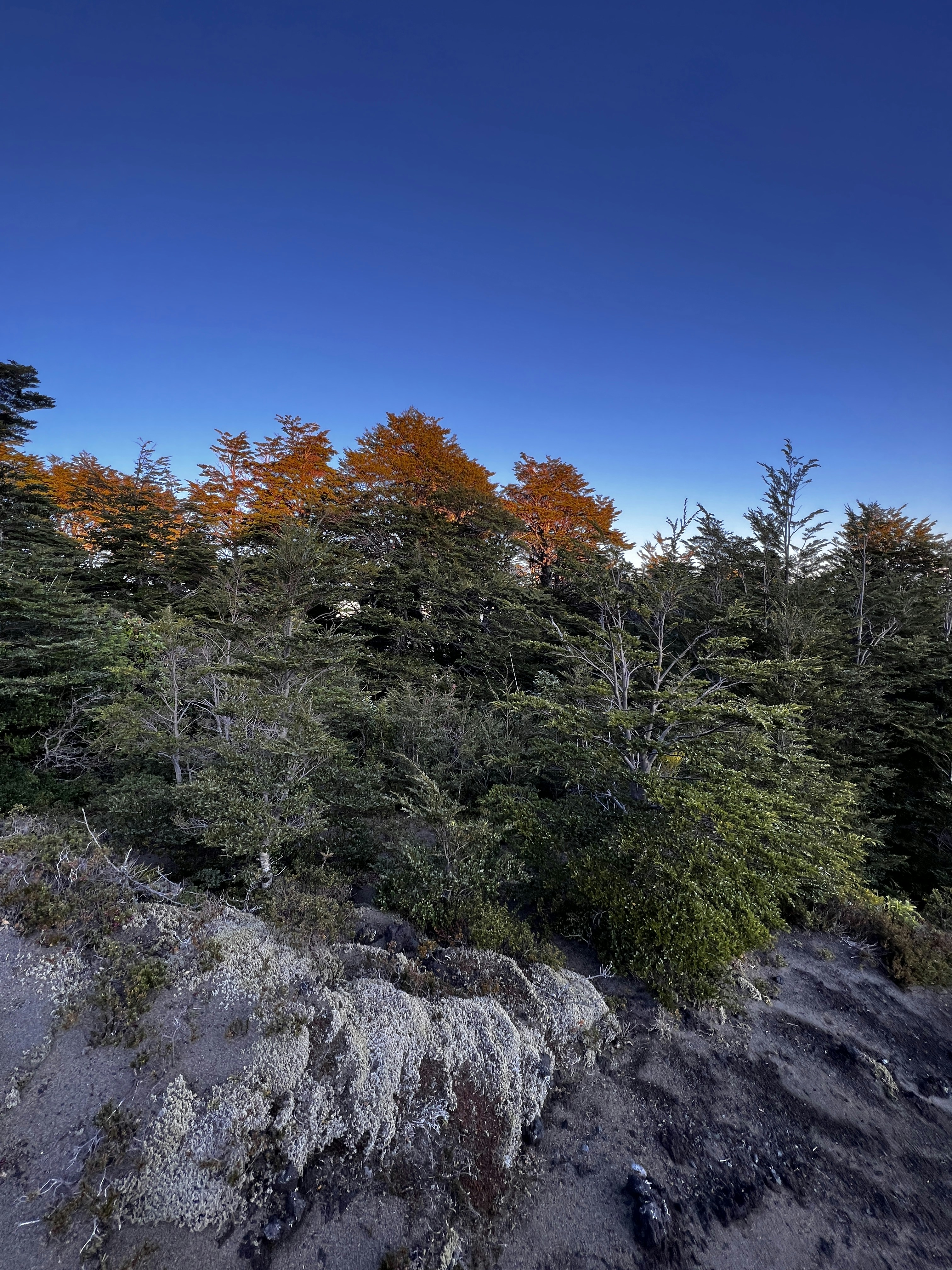 Puerto Varas travel photo