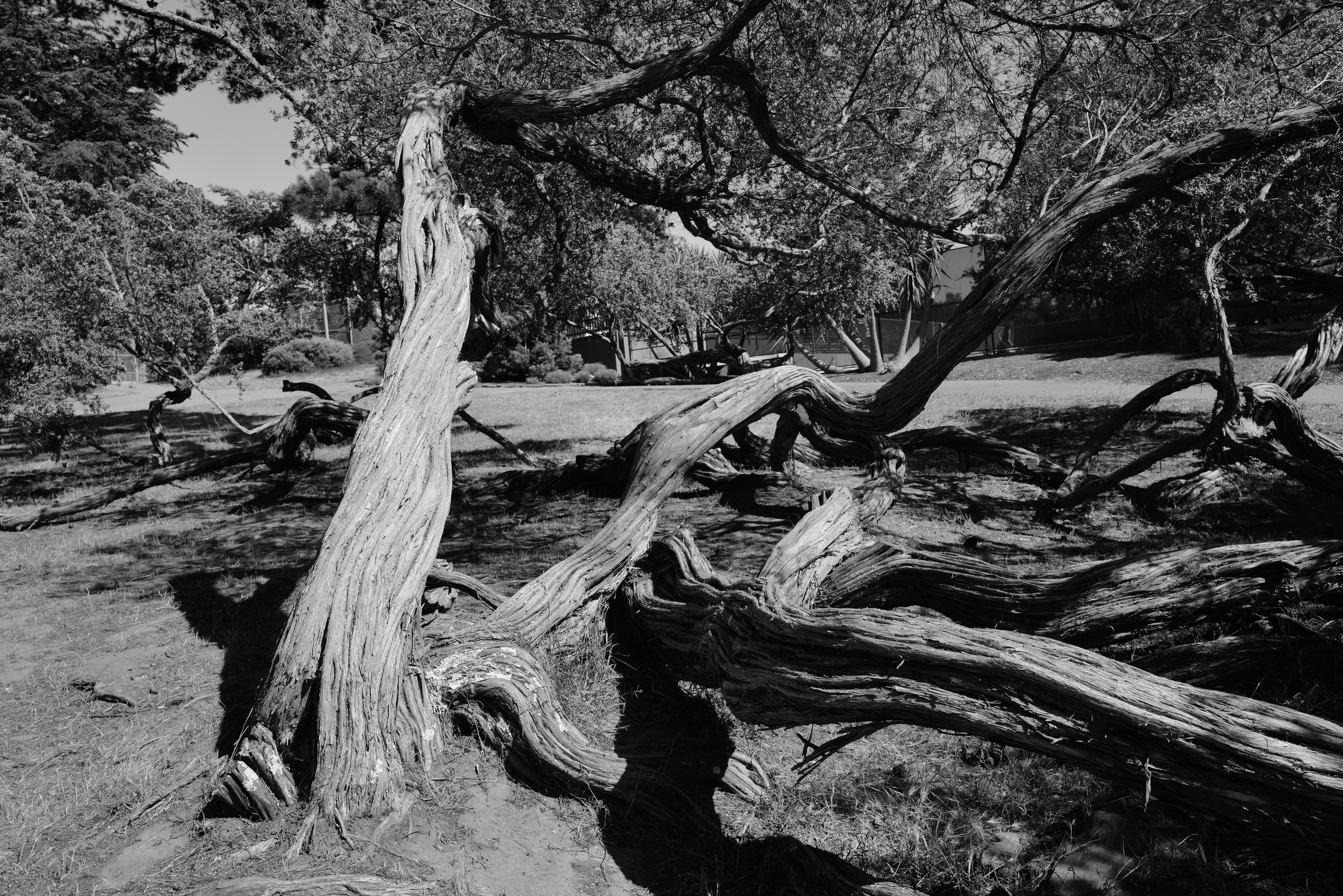 Photo by willieboysf12