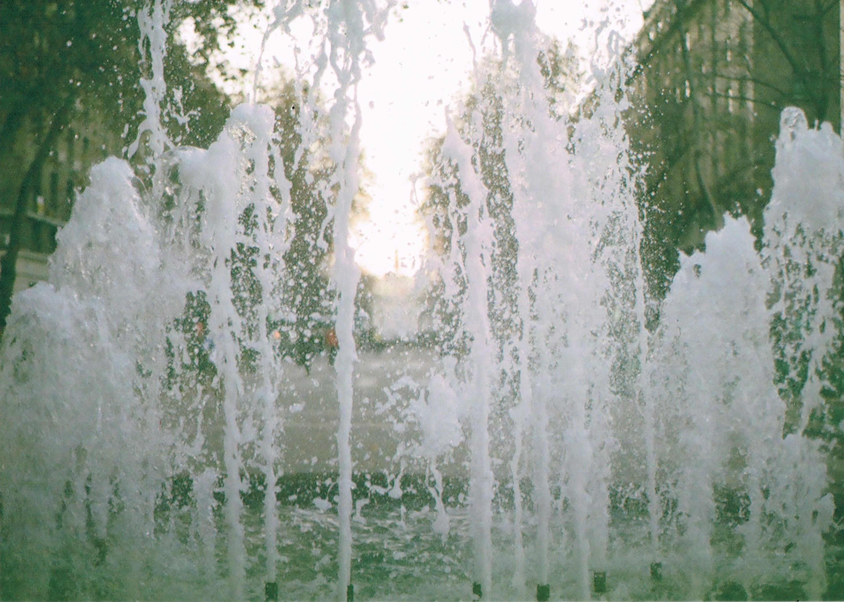 Photo by leonardoalvear