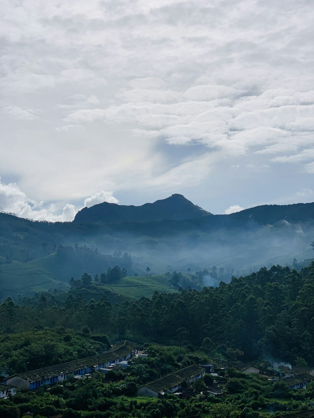 a landscape with trees and mountains