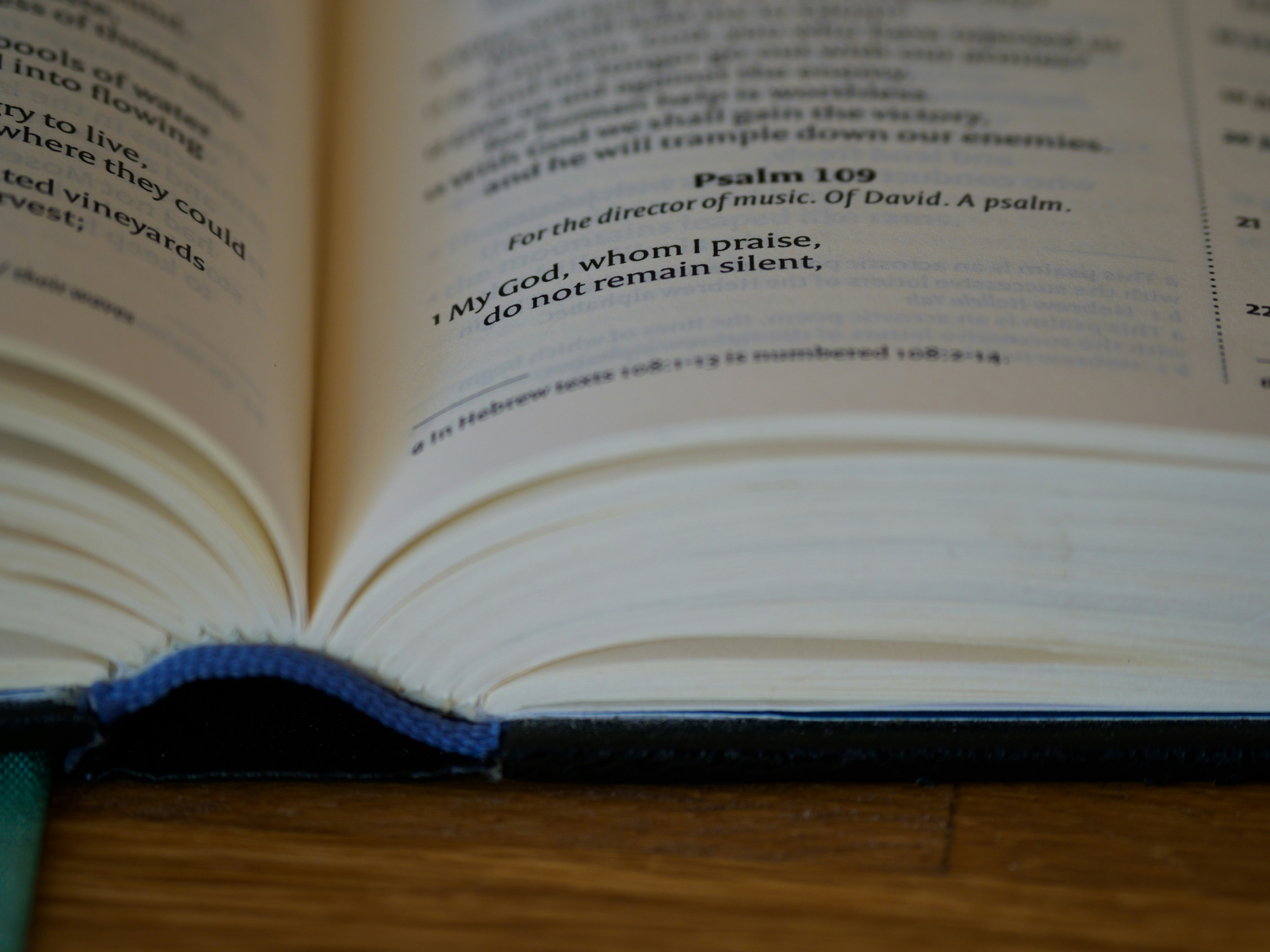 Photo by brett_jordan