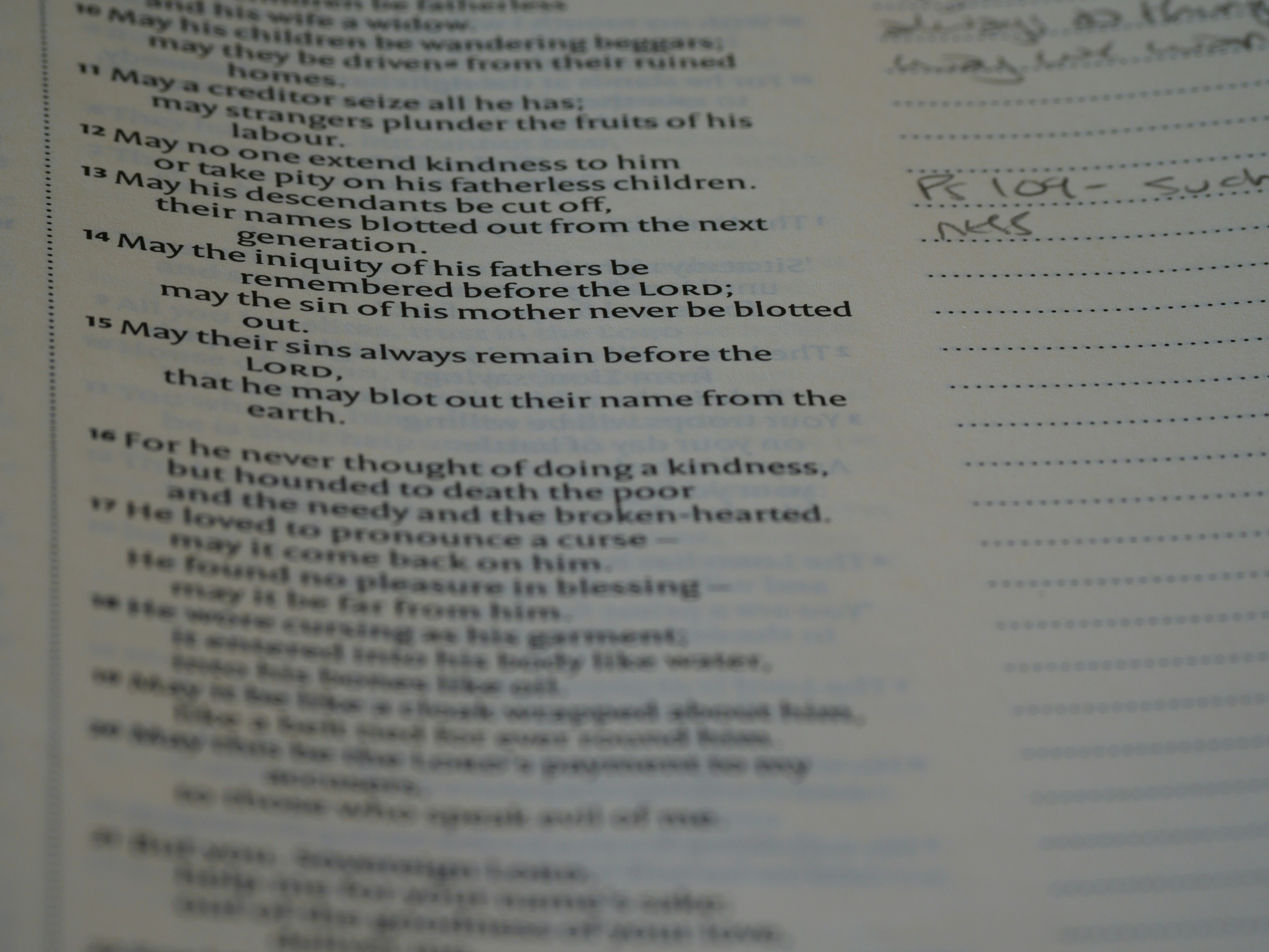 Photo by brett_jordan