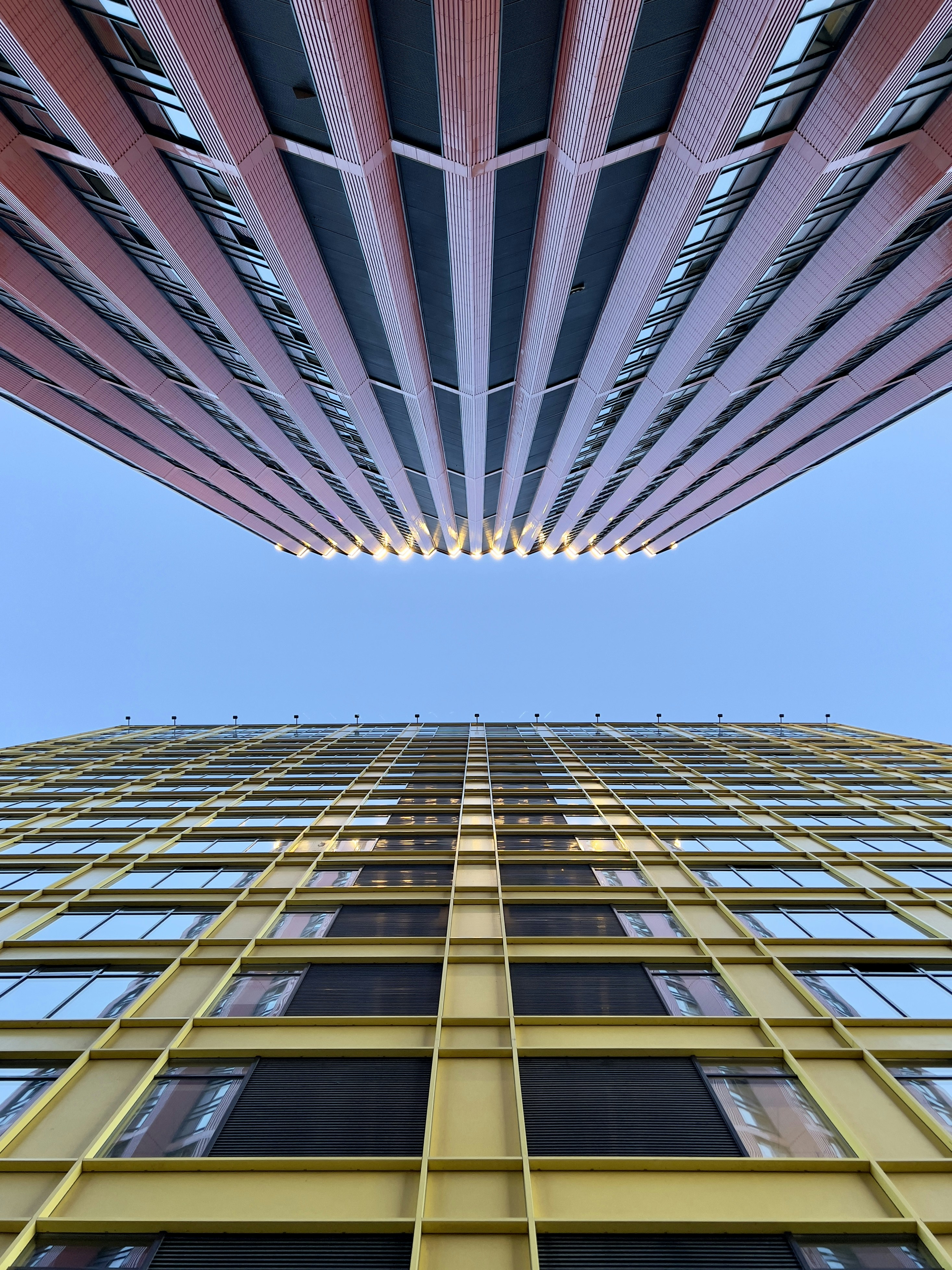 Photo by apsidopsius