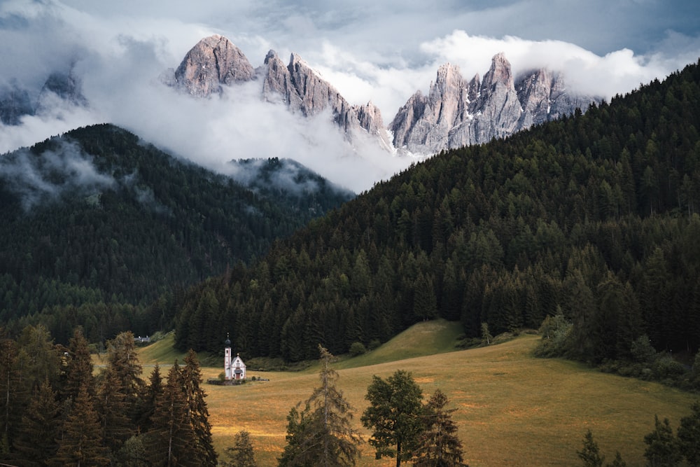 a landscape with trees and mountains