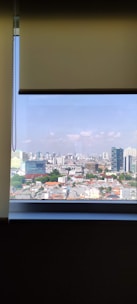 Bright, sunlit Adelaide skyline viewed through spotless, gleaming windows.