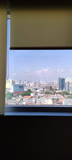 Bright, sunlit Adelaide skyline viewed through spotless, gleaming windows.
