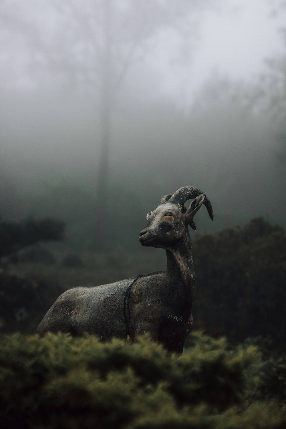 a statue of a horned animal