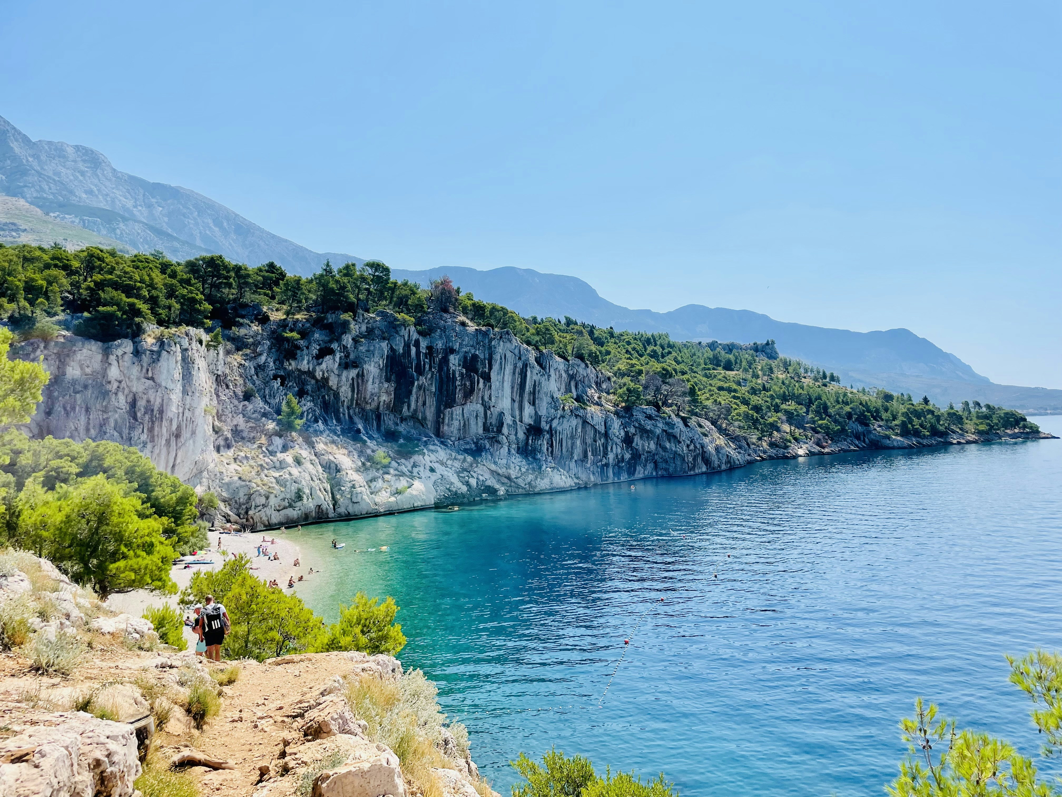 A body of water with a rocky shore and trees on the side