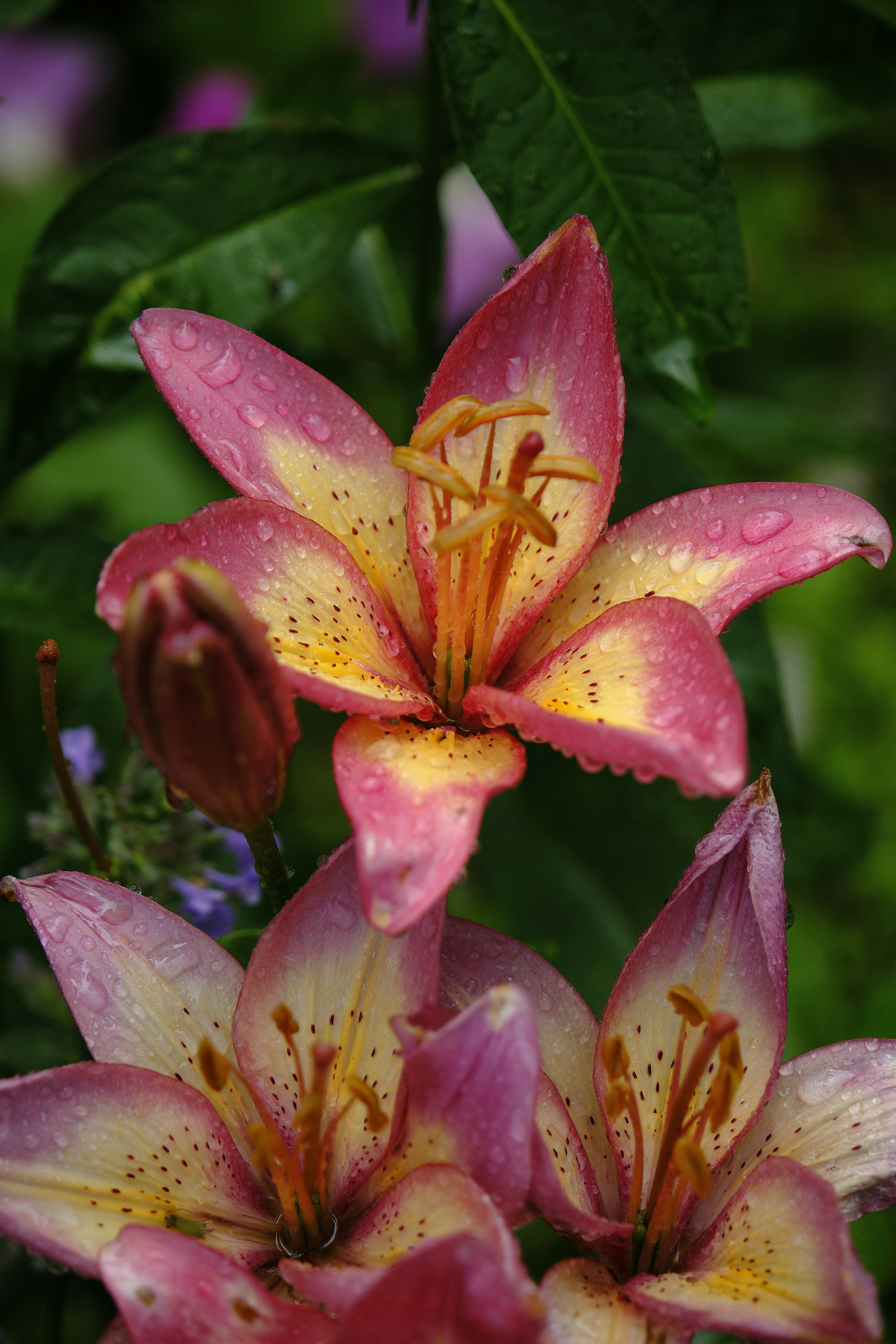 Photo by mrparalloid