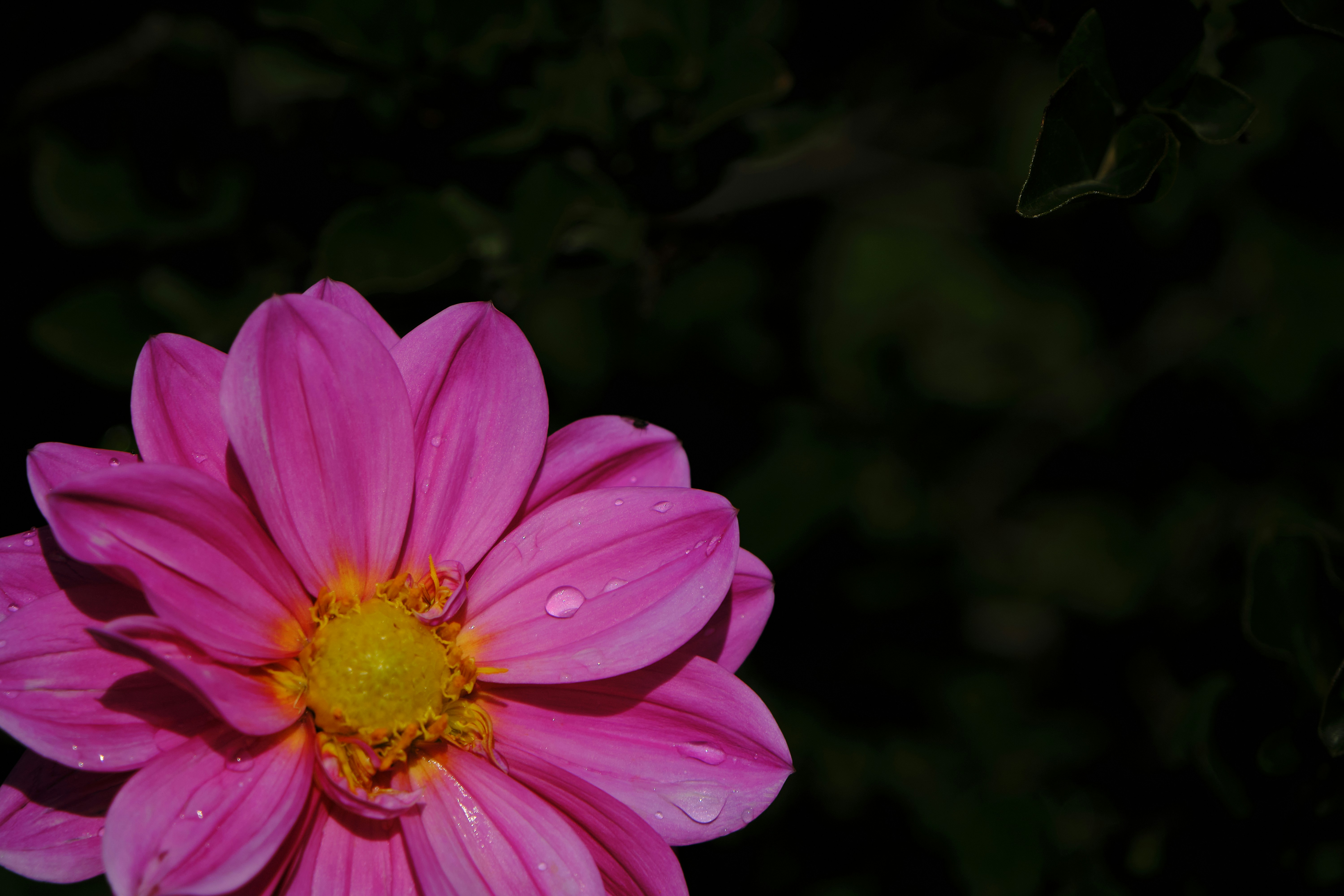 Photo by mrparalloid