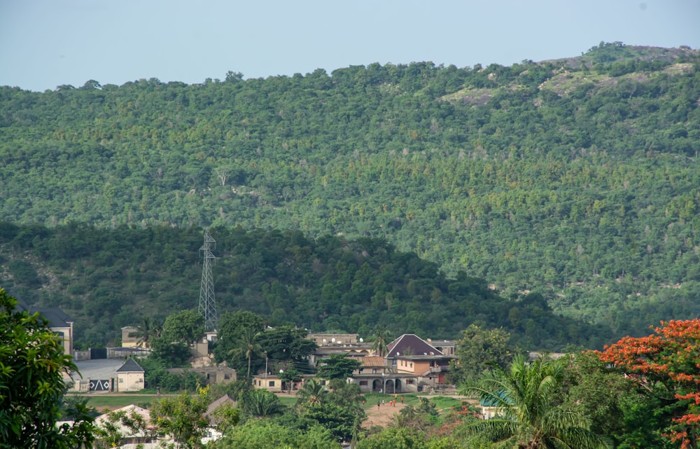 a group of houses in a valley