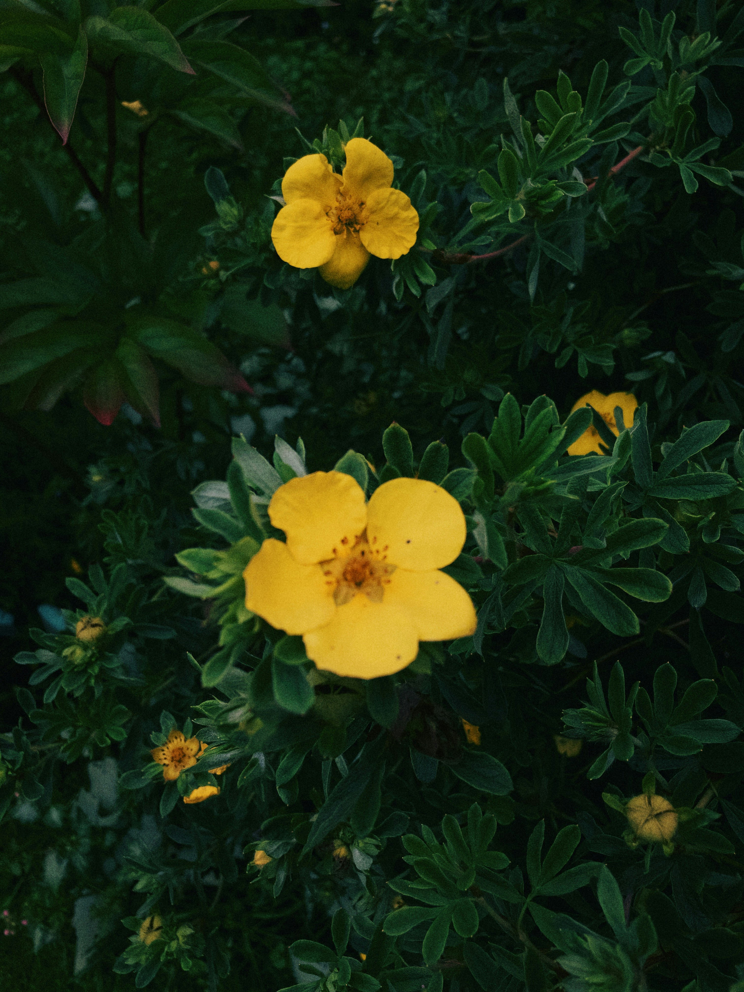 Trakai – Day Trips & Surroundings