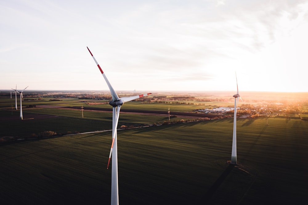 a group of wind turbines