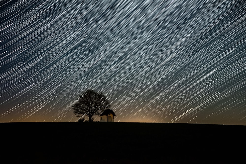 a tree and a house under a starry sky