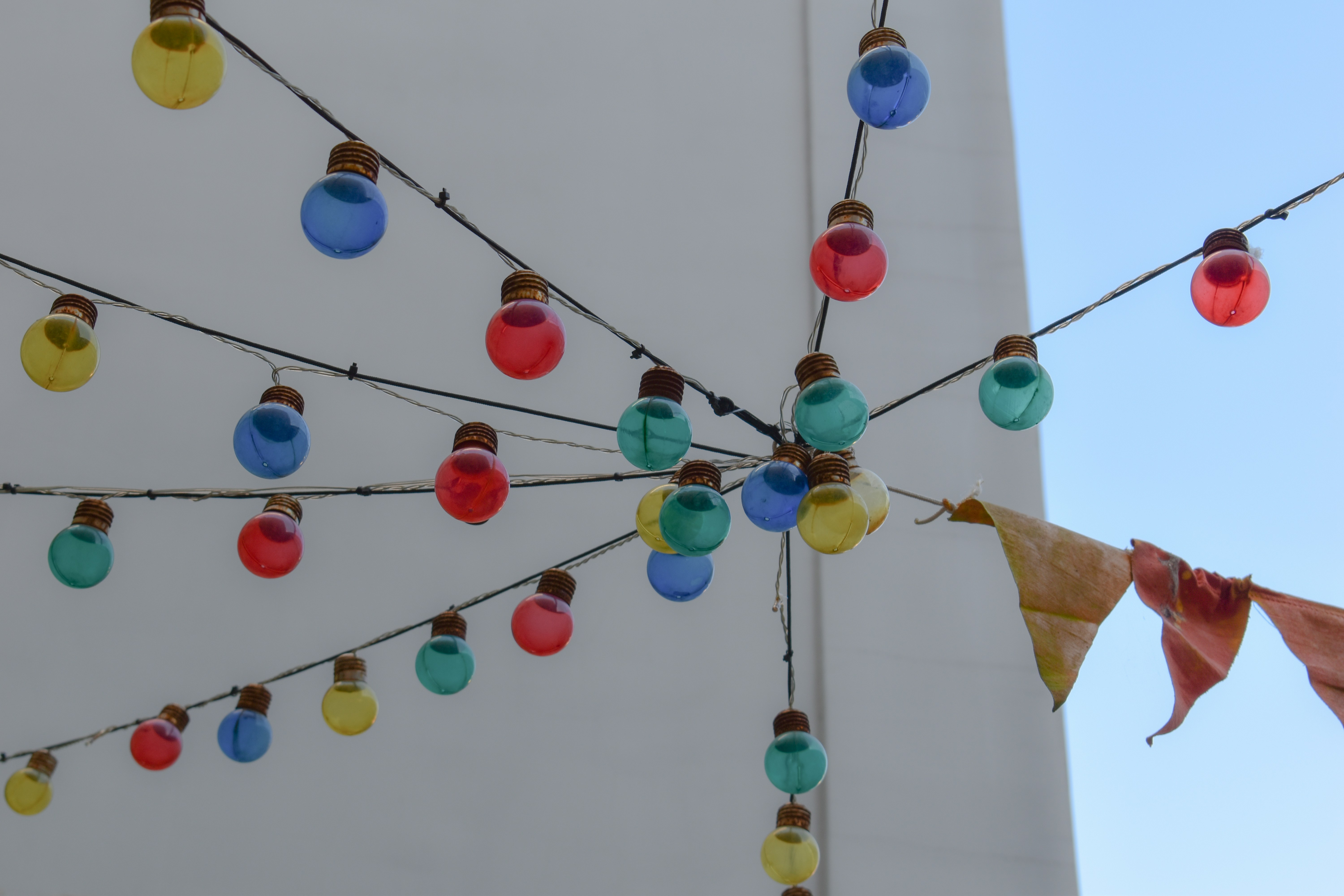 Herceg Novi – Natural Environment & Landscapes