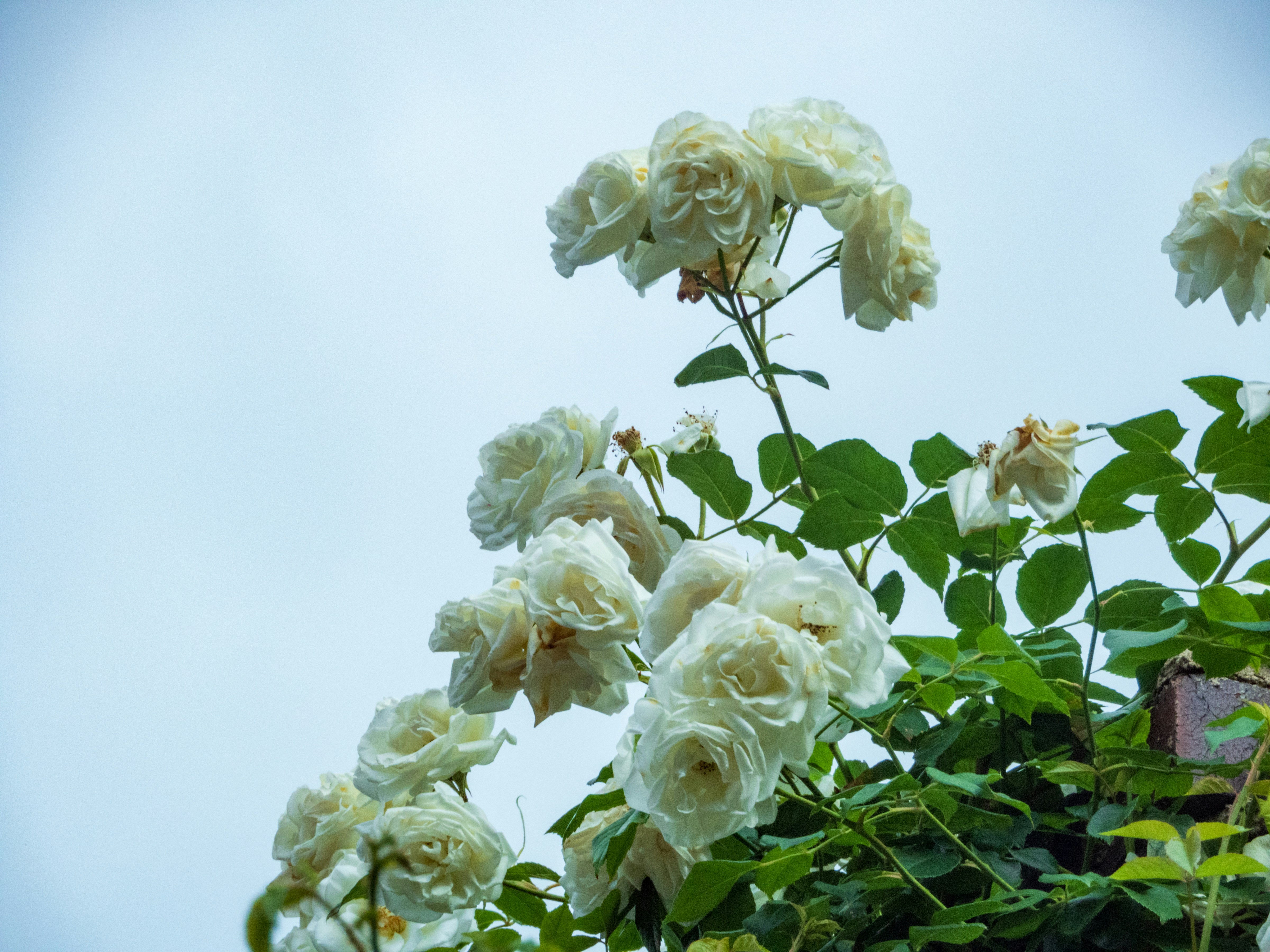 Photo by heppoko_yama