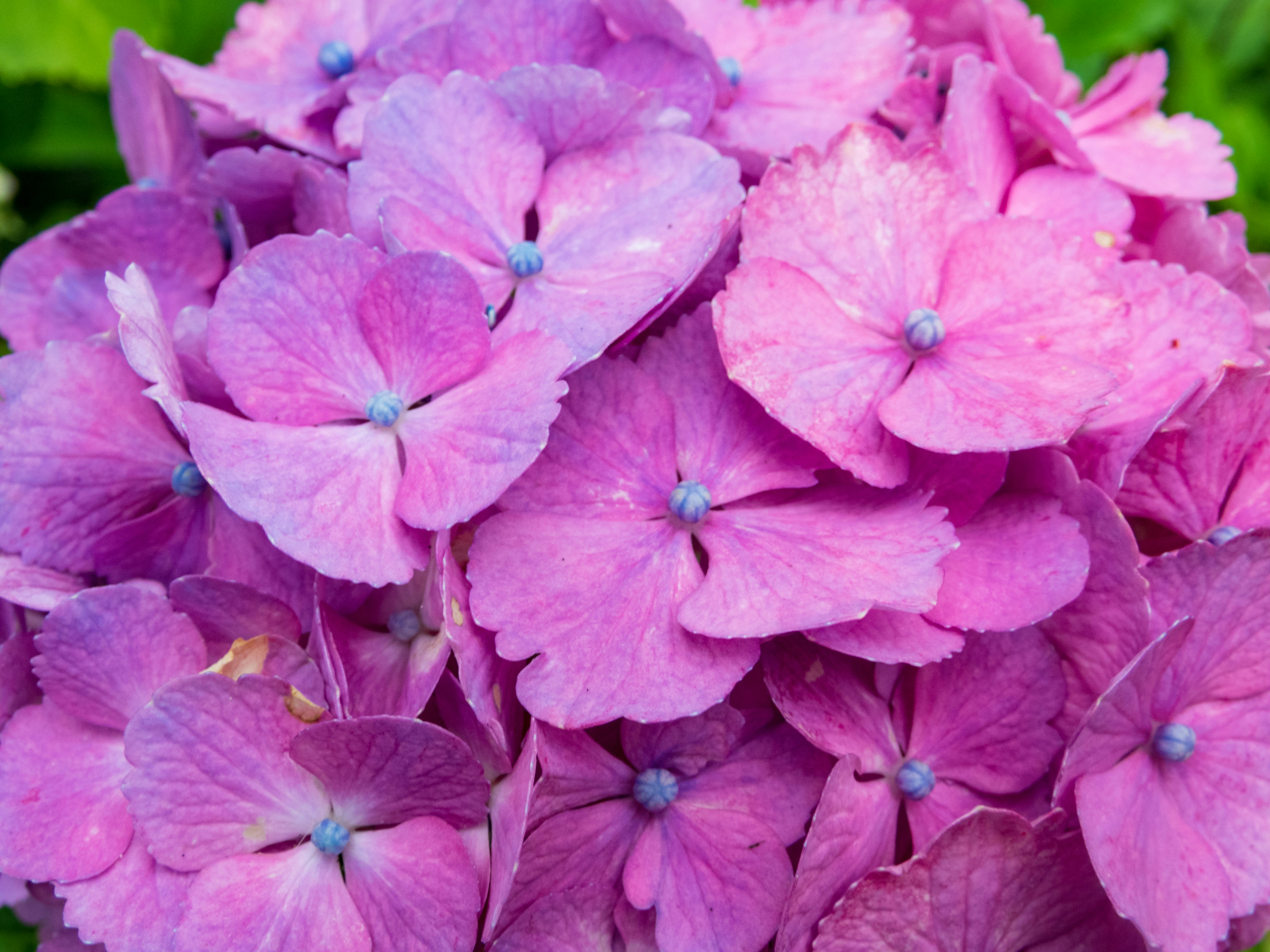 Photo by heppoko_yama