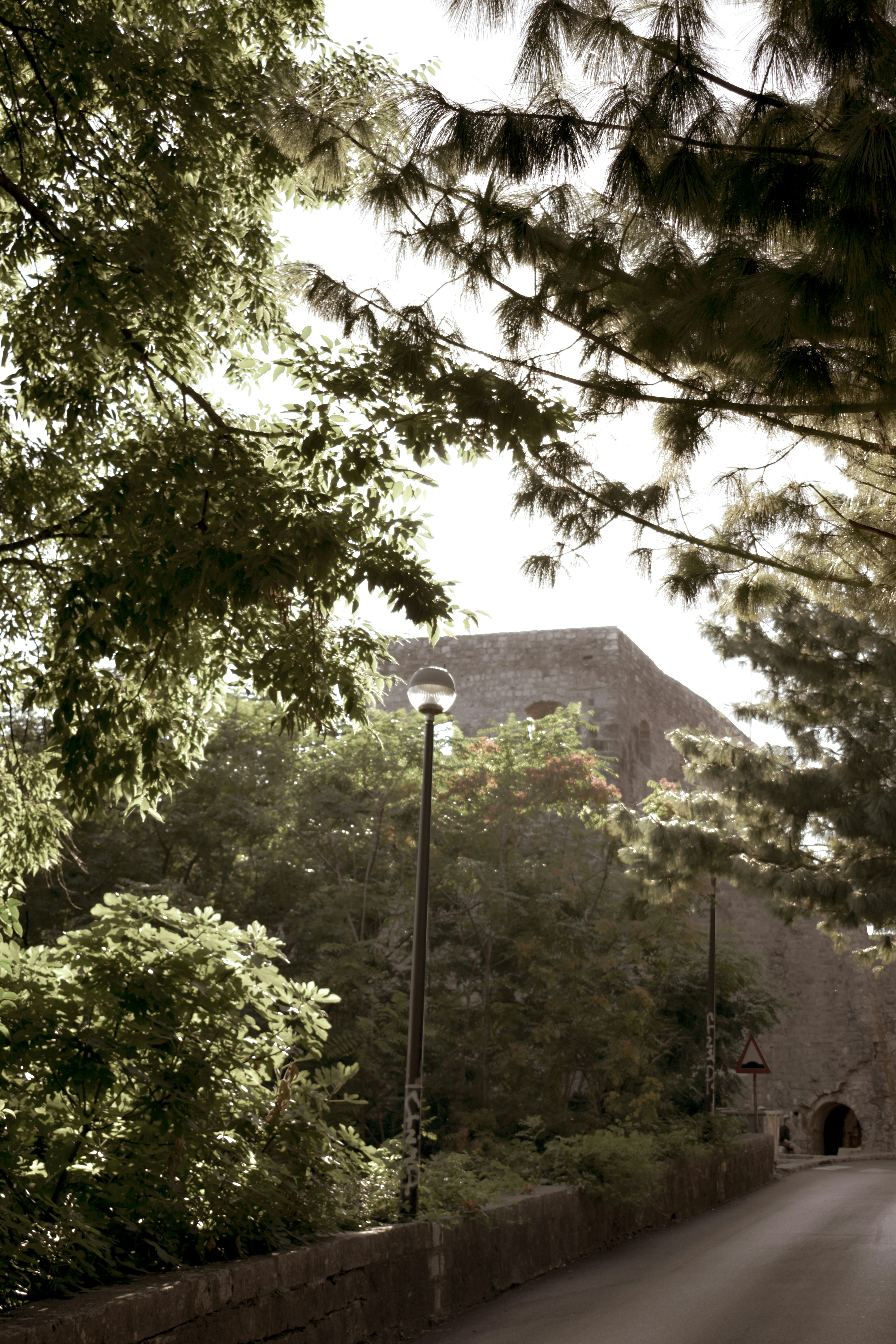 Herceg Novi – Food & Dining Culture