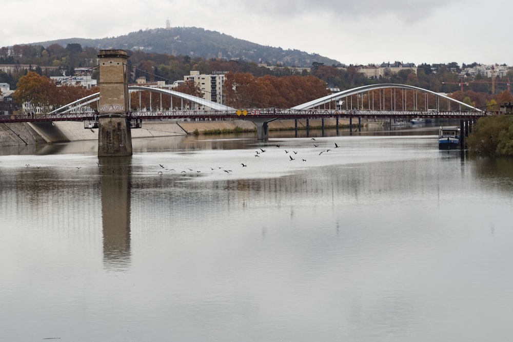 a bridge over a river