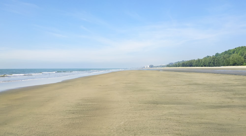 a sandy beach with trees and water